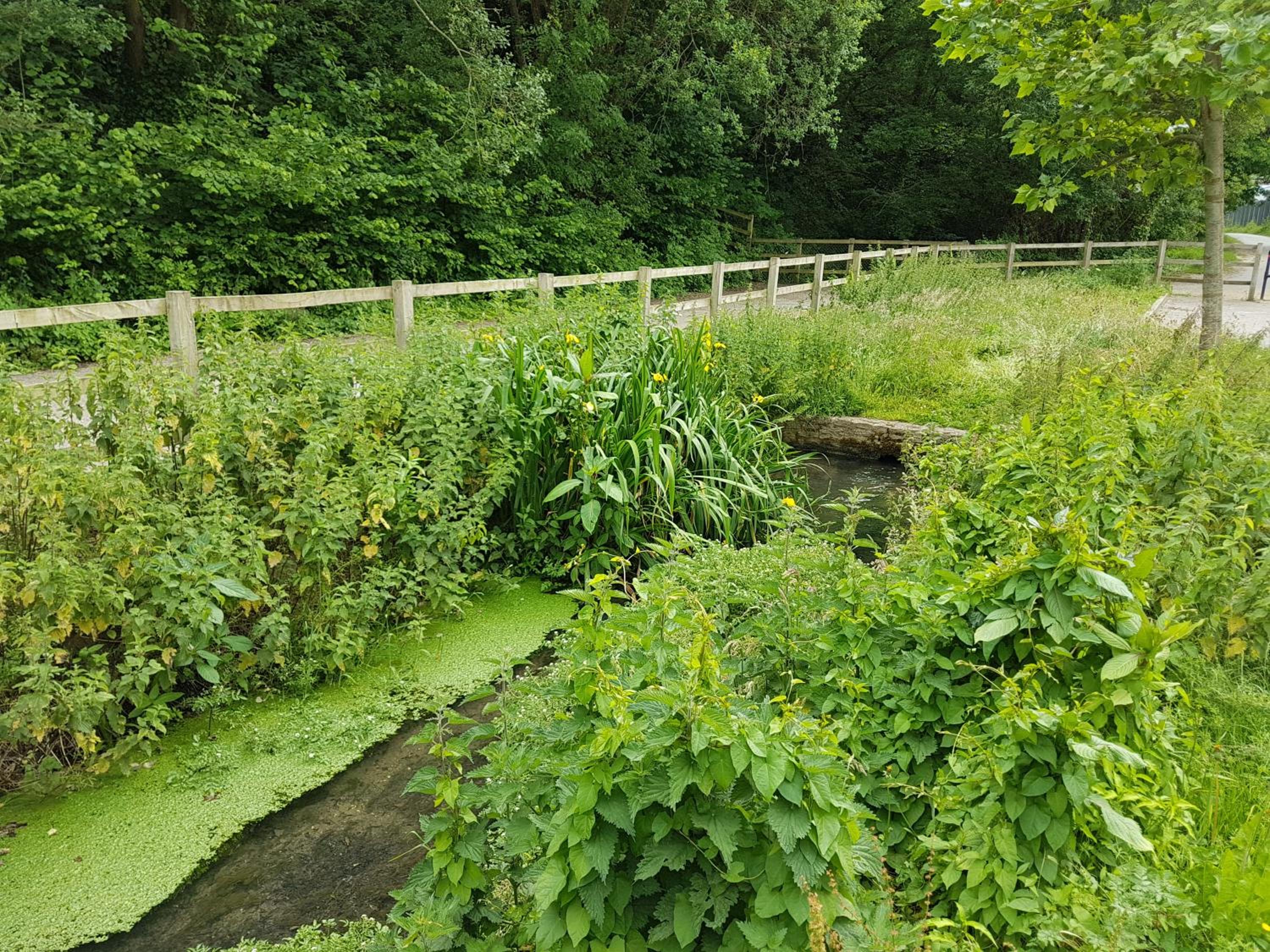 Yeovil Vacations - Streamside Apartments - Property Image 6