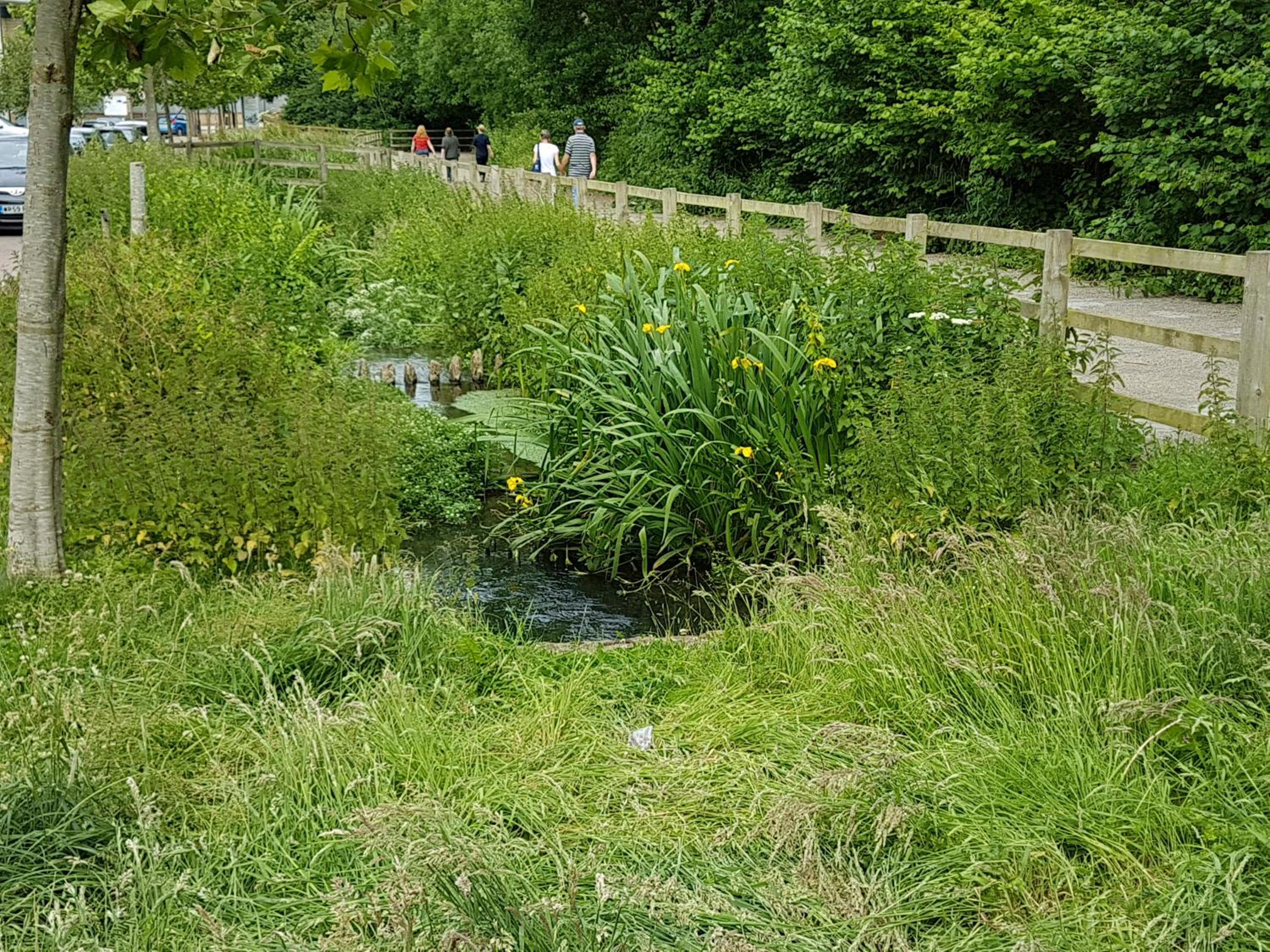 Yeovil Vacations - Streamside Apartments - Property Image 7