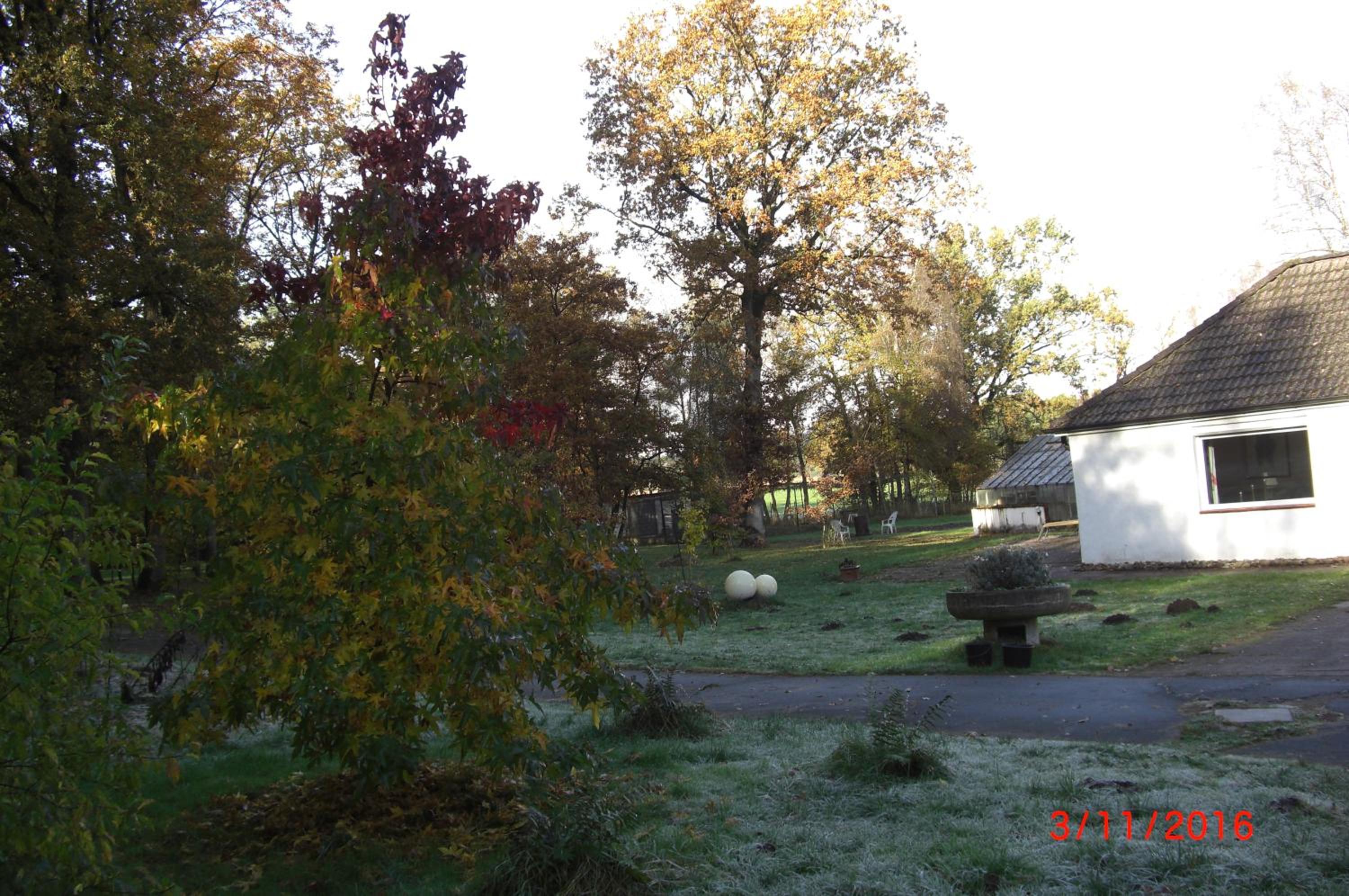 Photo 22