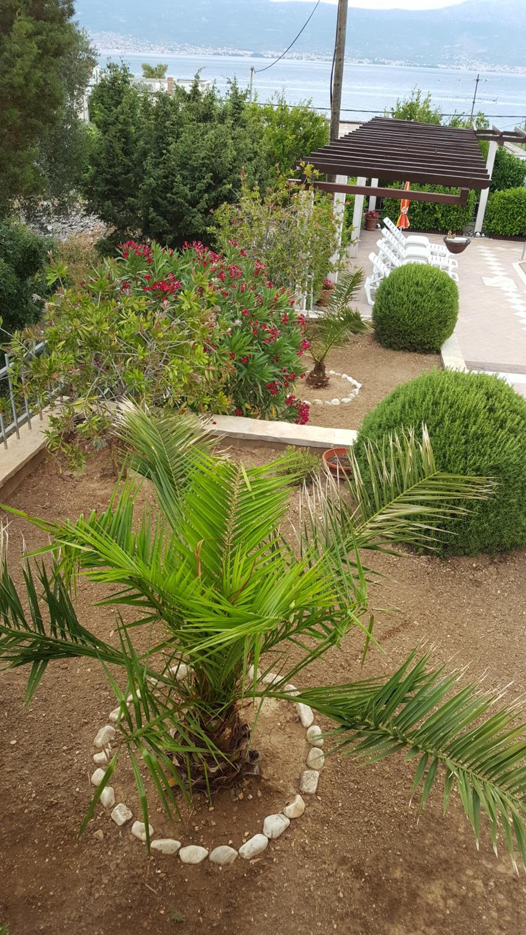 Apartments Romana view 4
