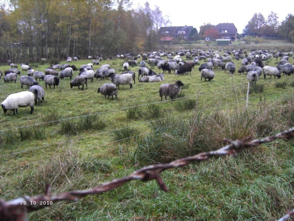 Ferienhaus Huus ton witten Barg view 4