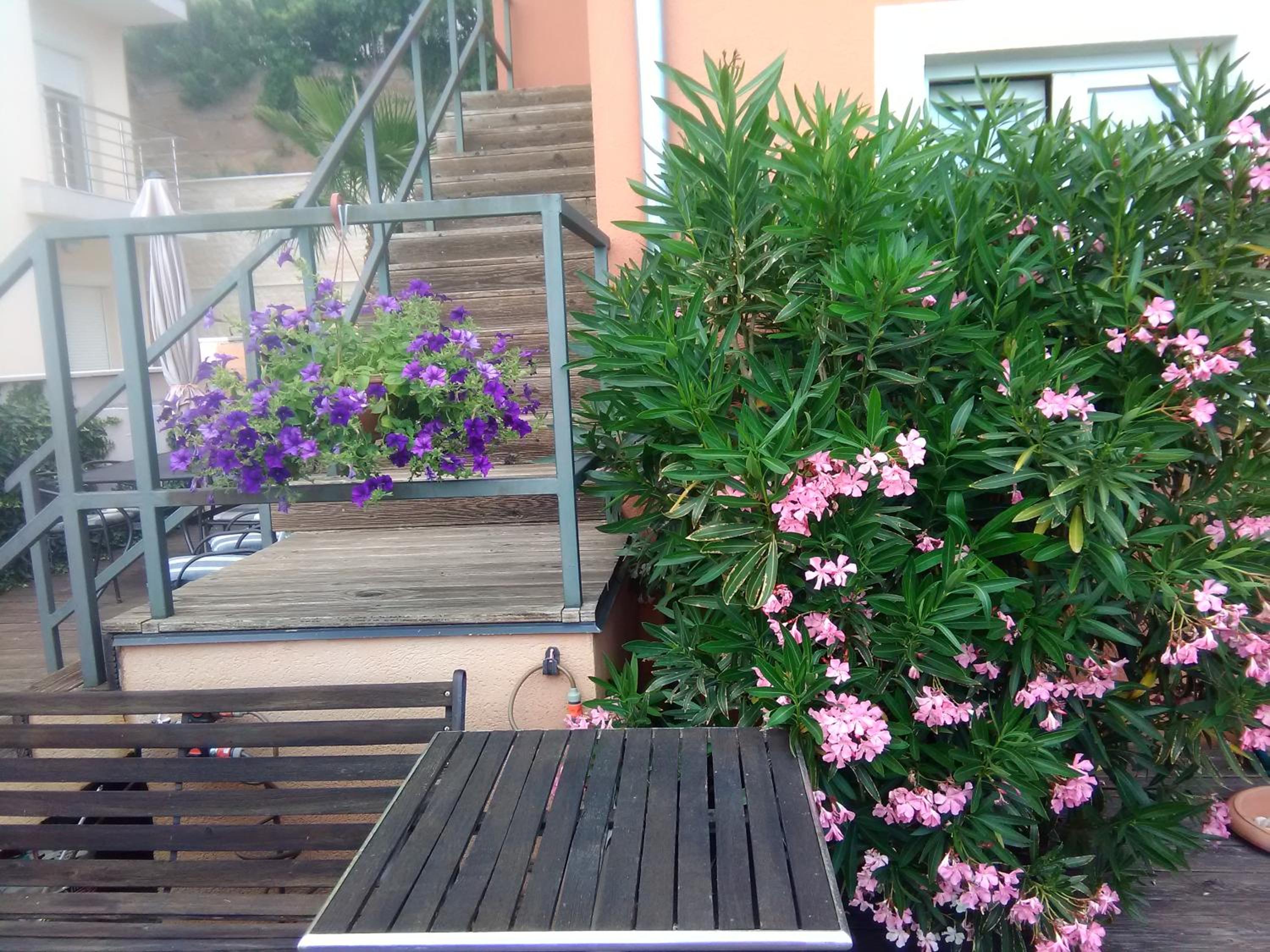 Apartments Mare Croatia view 5