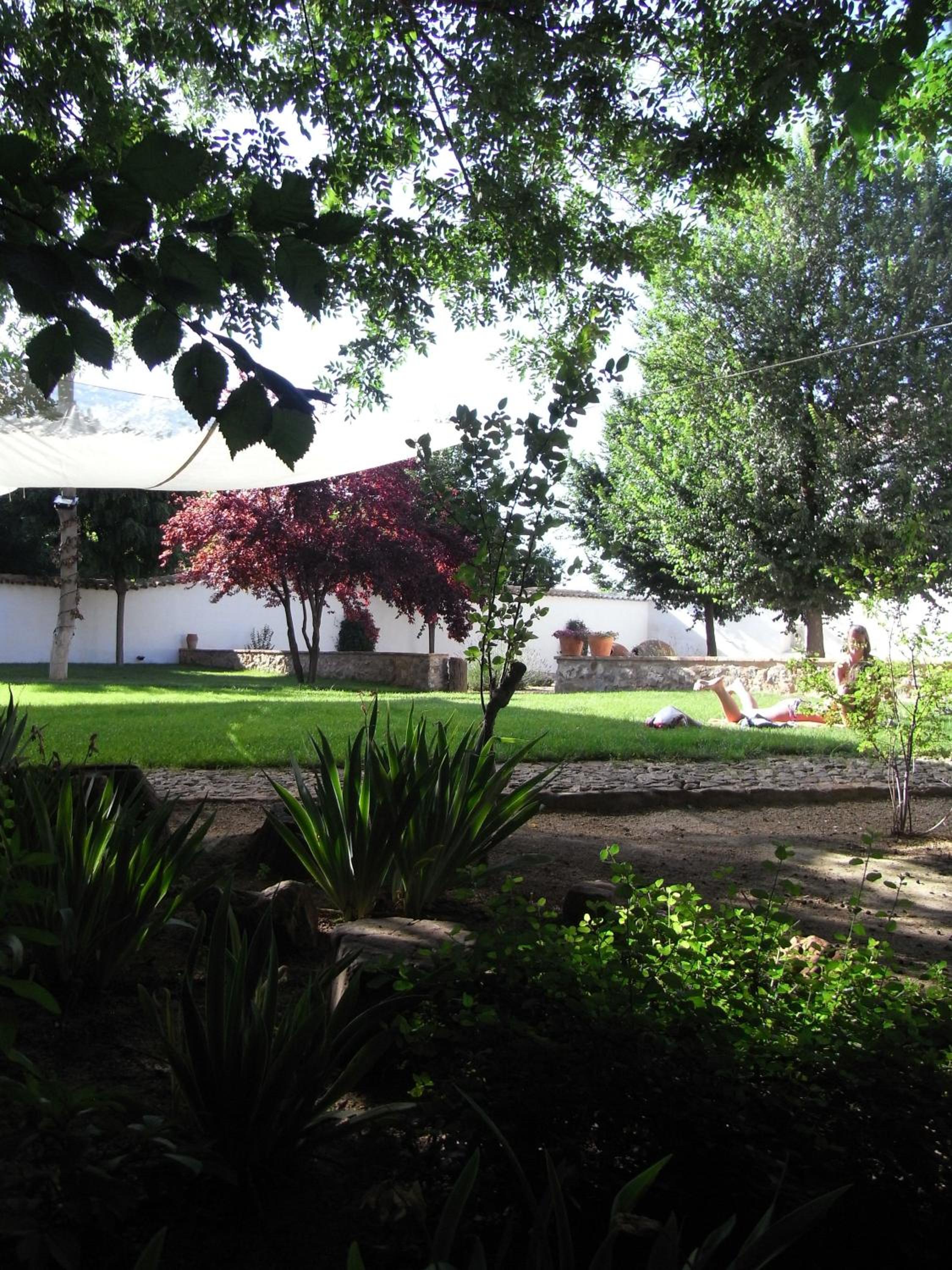 Photo 11