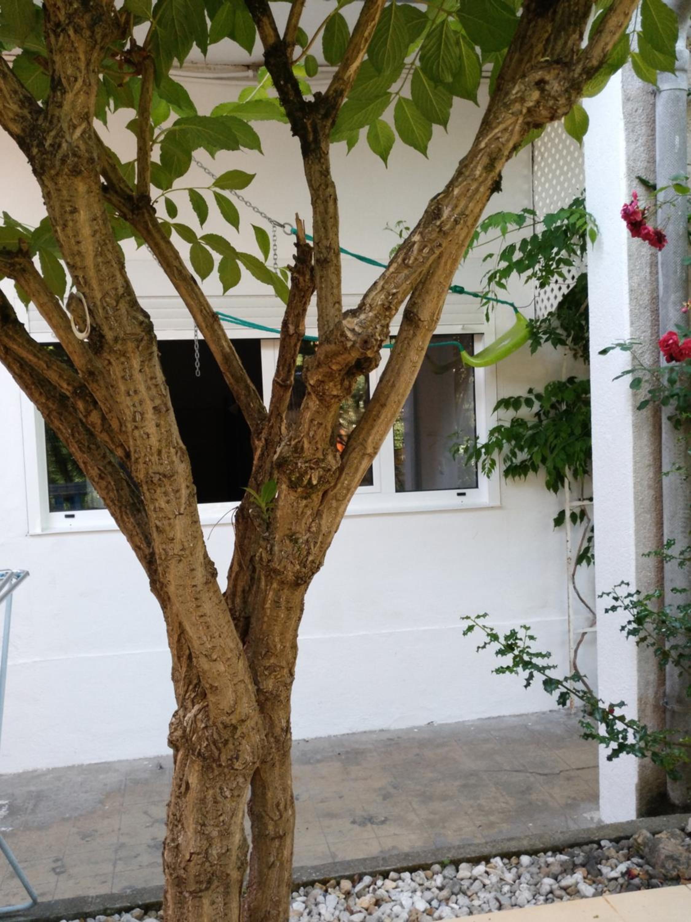Pension-Albergue Don Alvaro