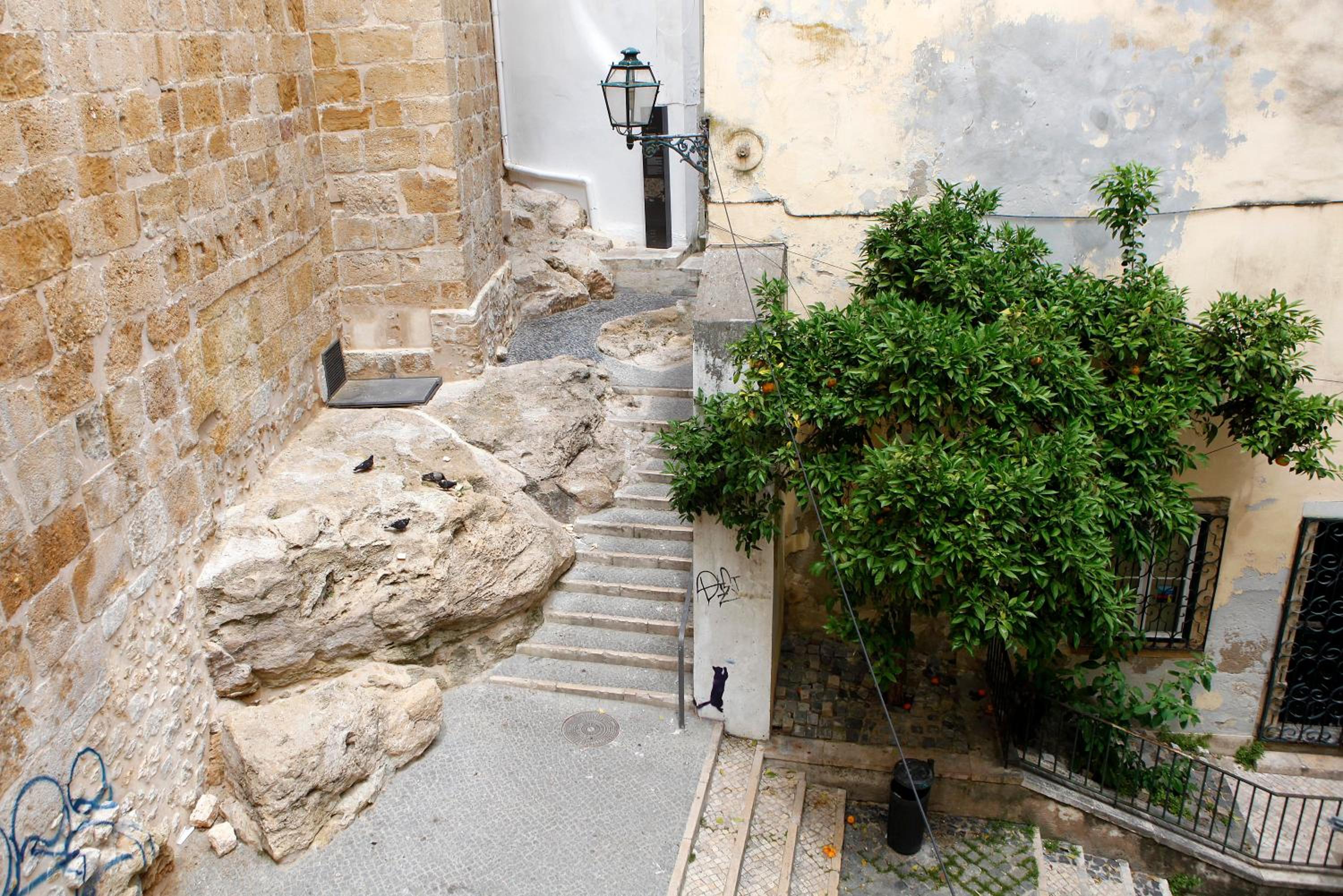Photo 24