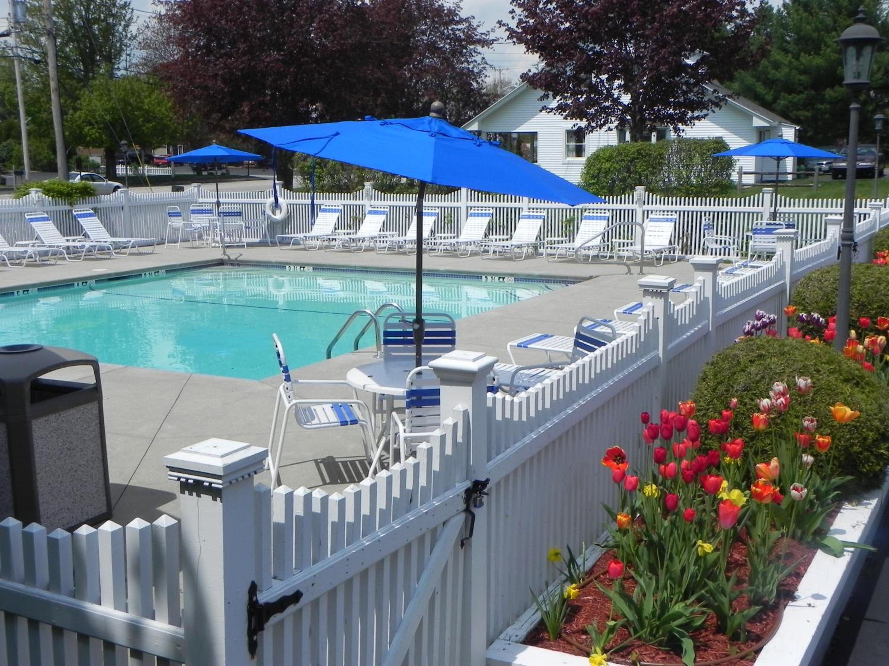 Elmwood Resort Hotel - Property Image 75