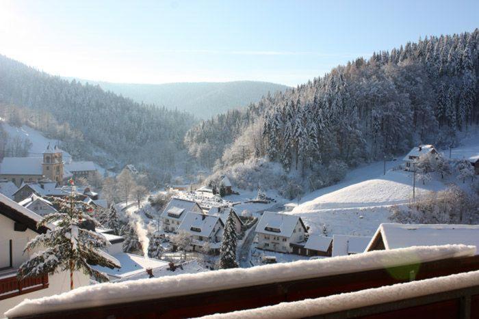 Haus Margot Armbruster view 3