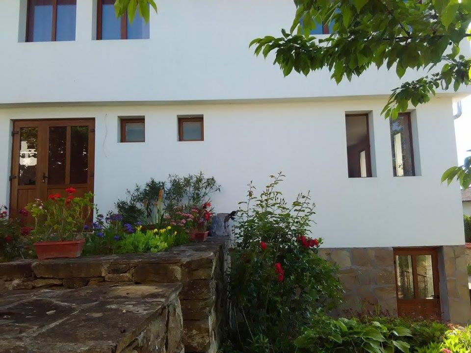 Fenix Rooms