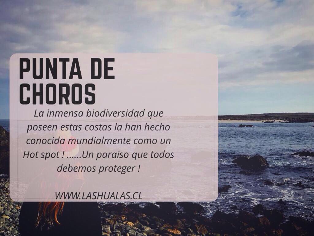 Las Hualas