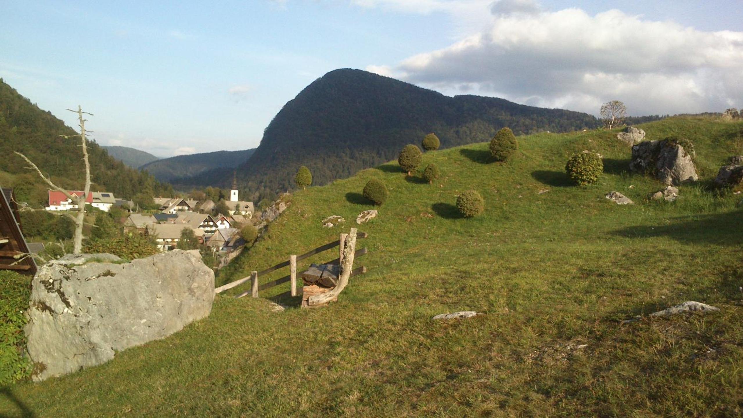 Photo 23