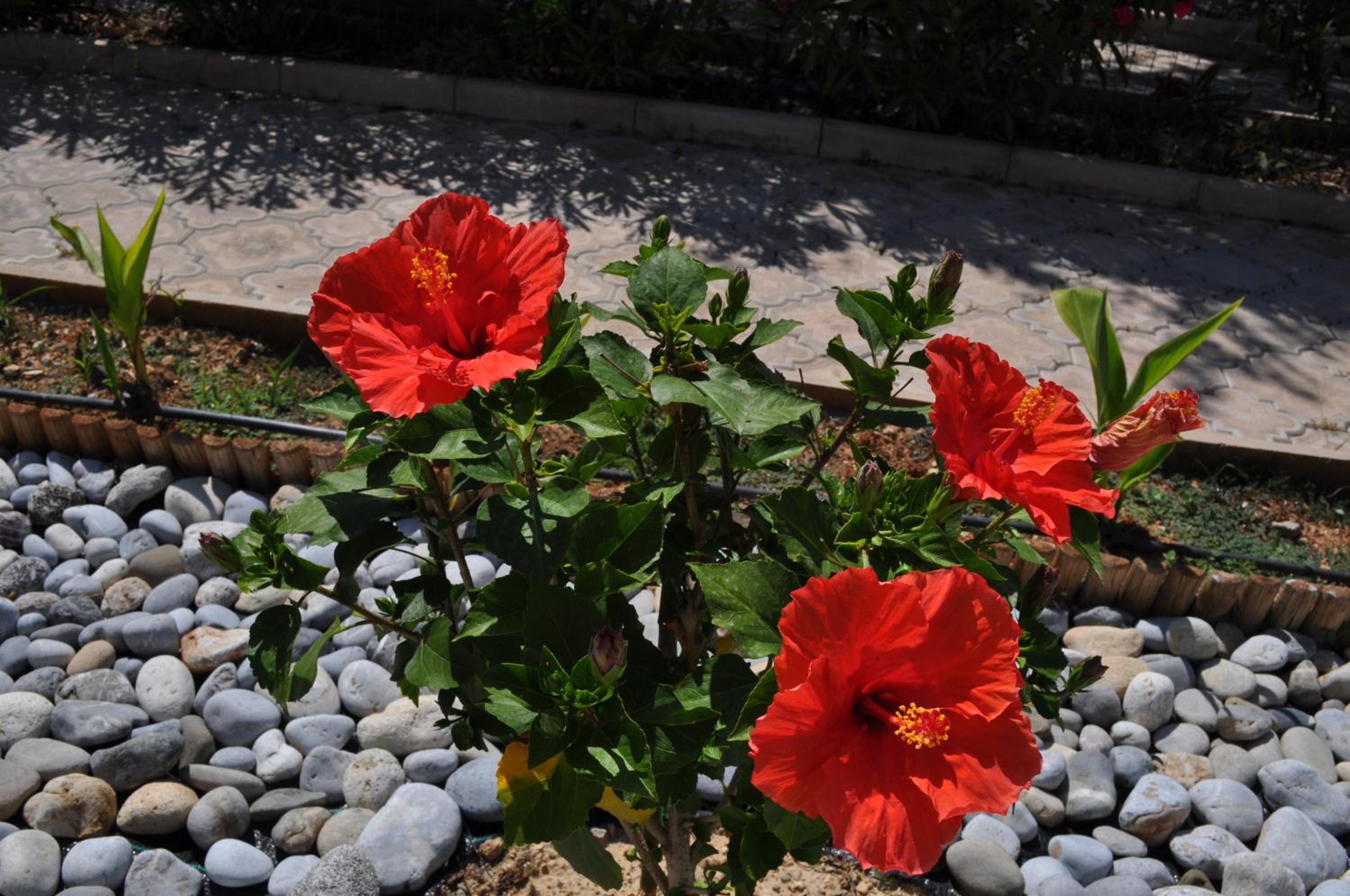 Photo 22