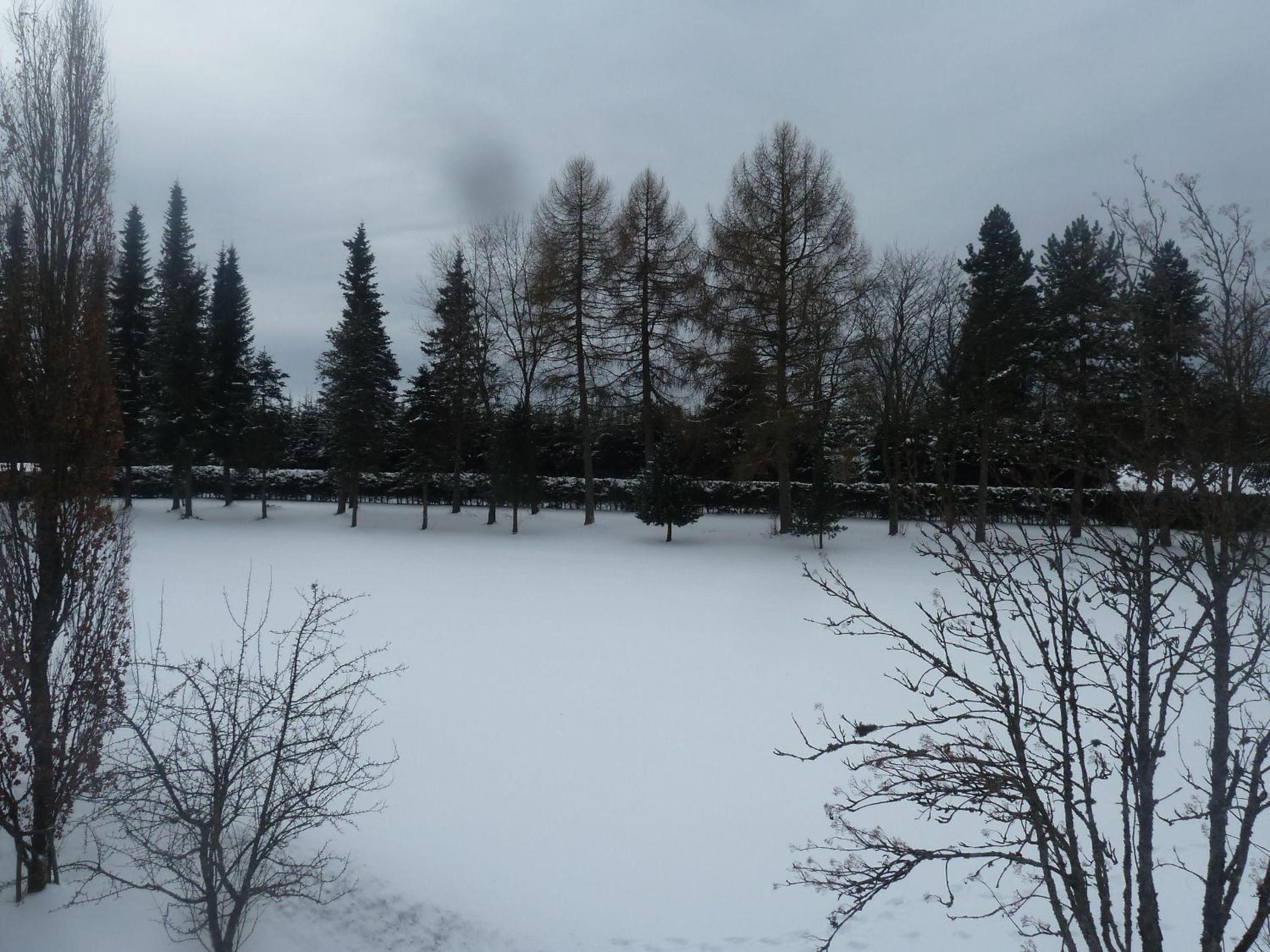 Appartement-Oberwiesenhof view 4