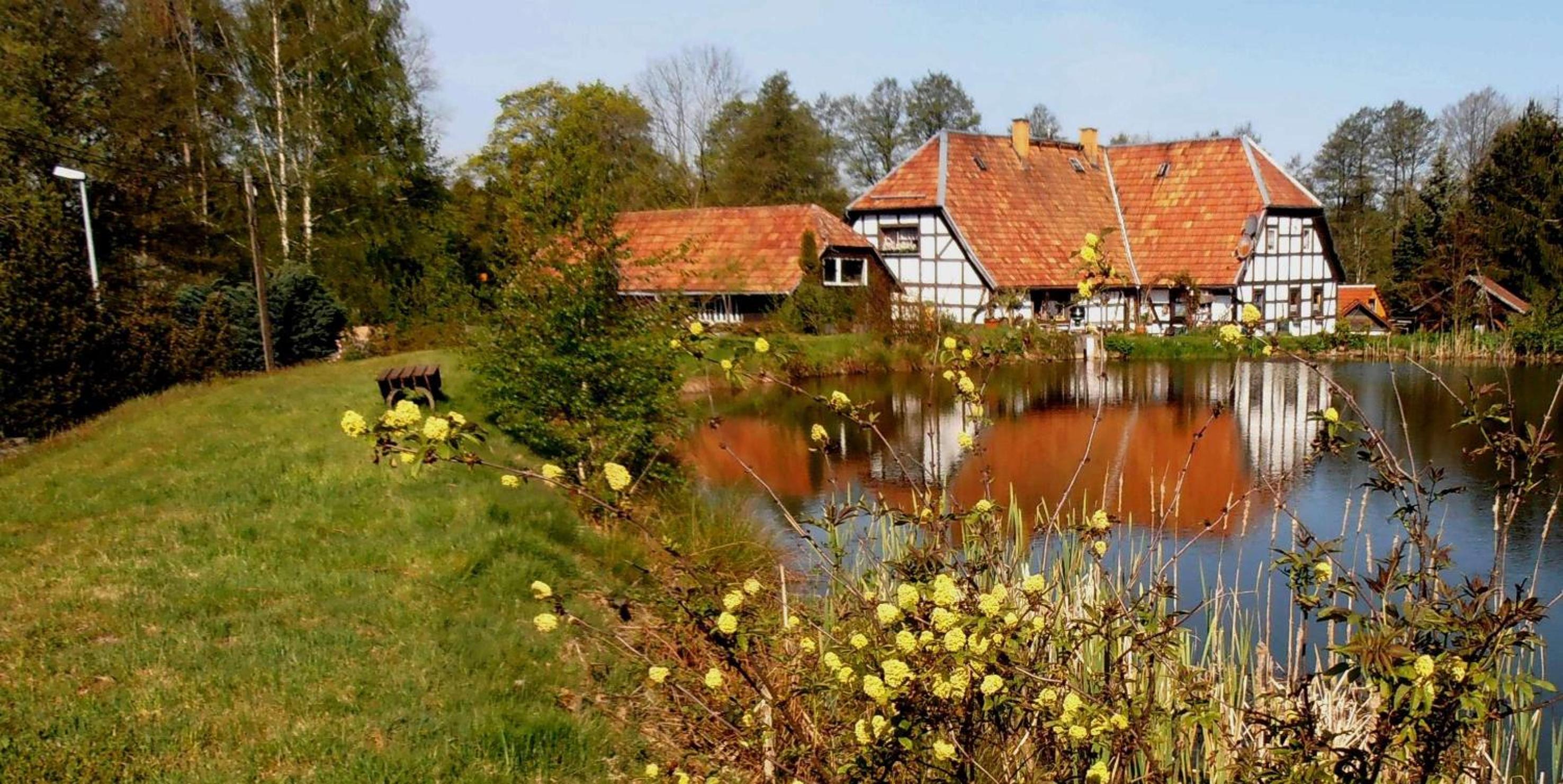 Ferienwohnung-Mitreuter view 5