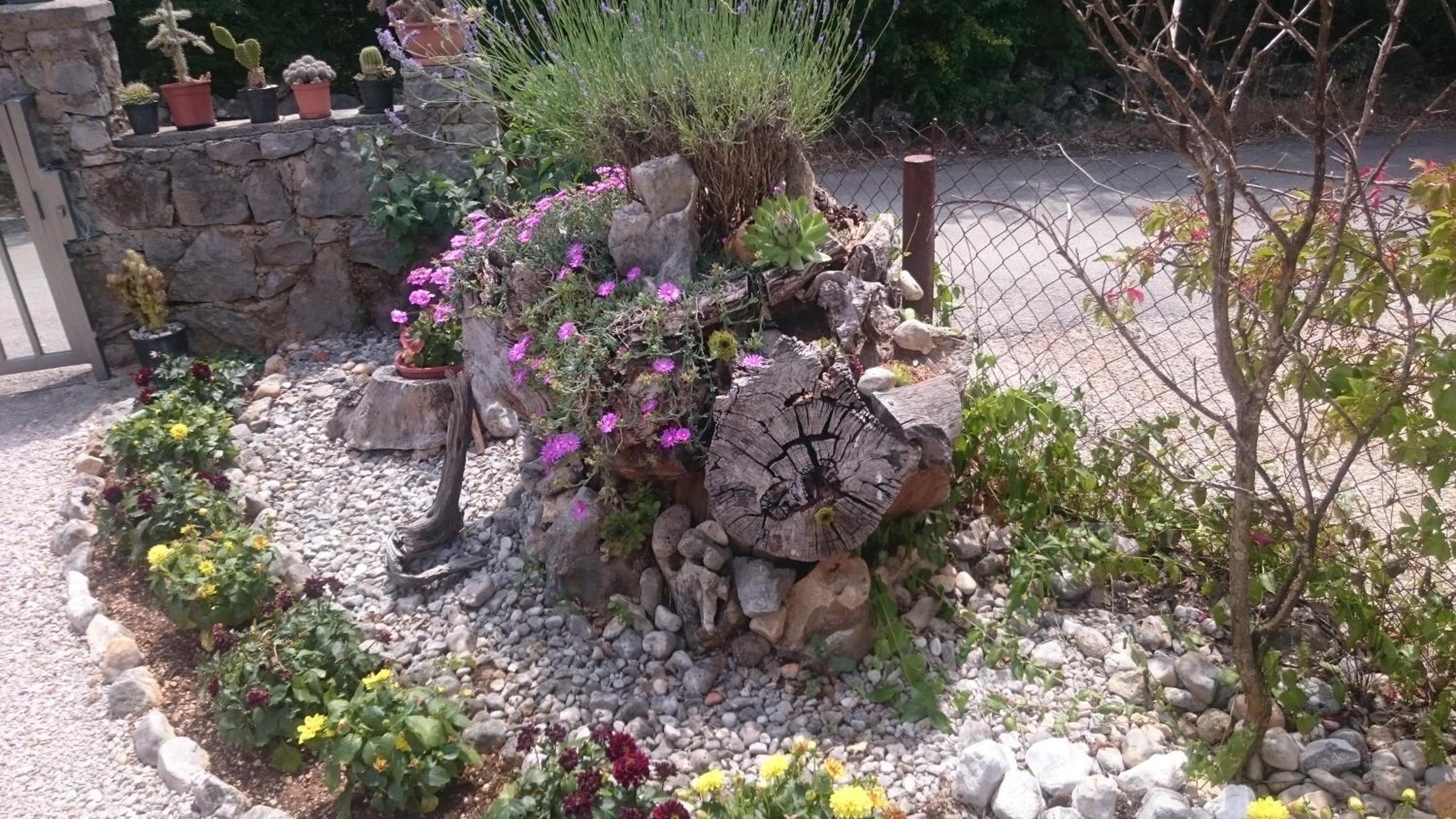 Photo 22
