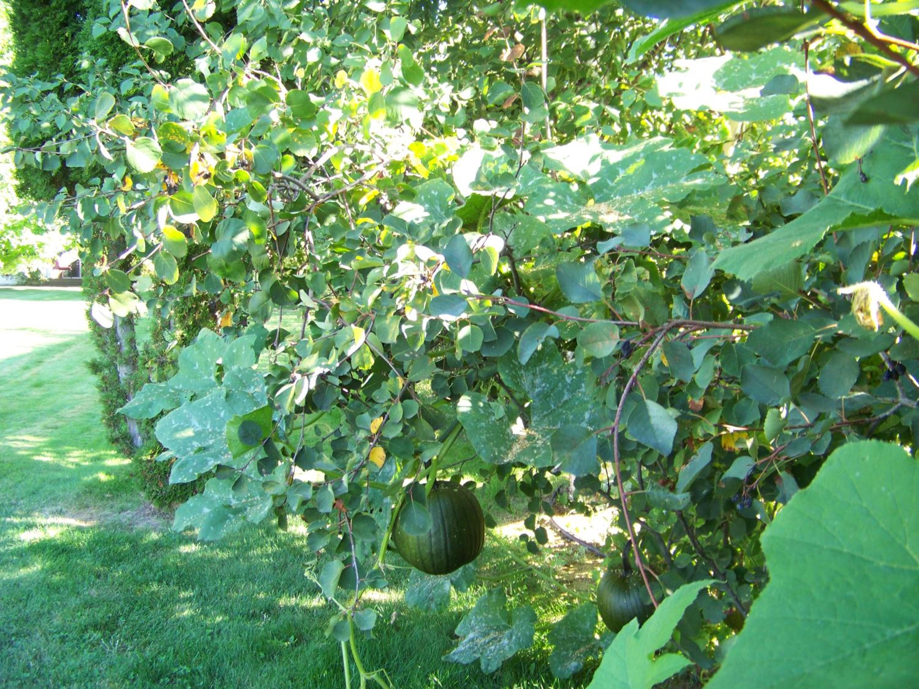 Photo 22