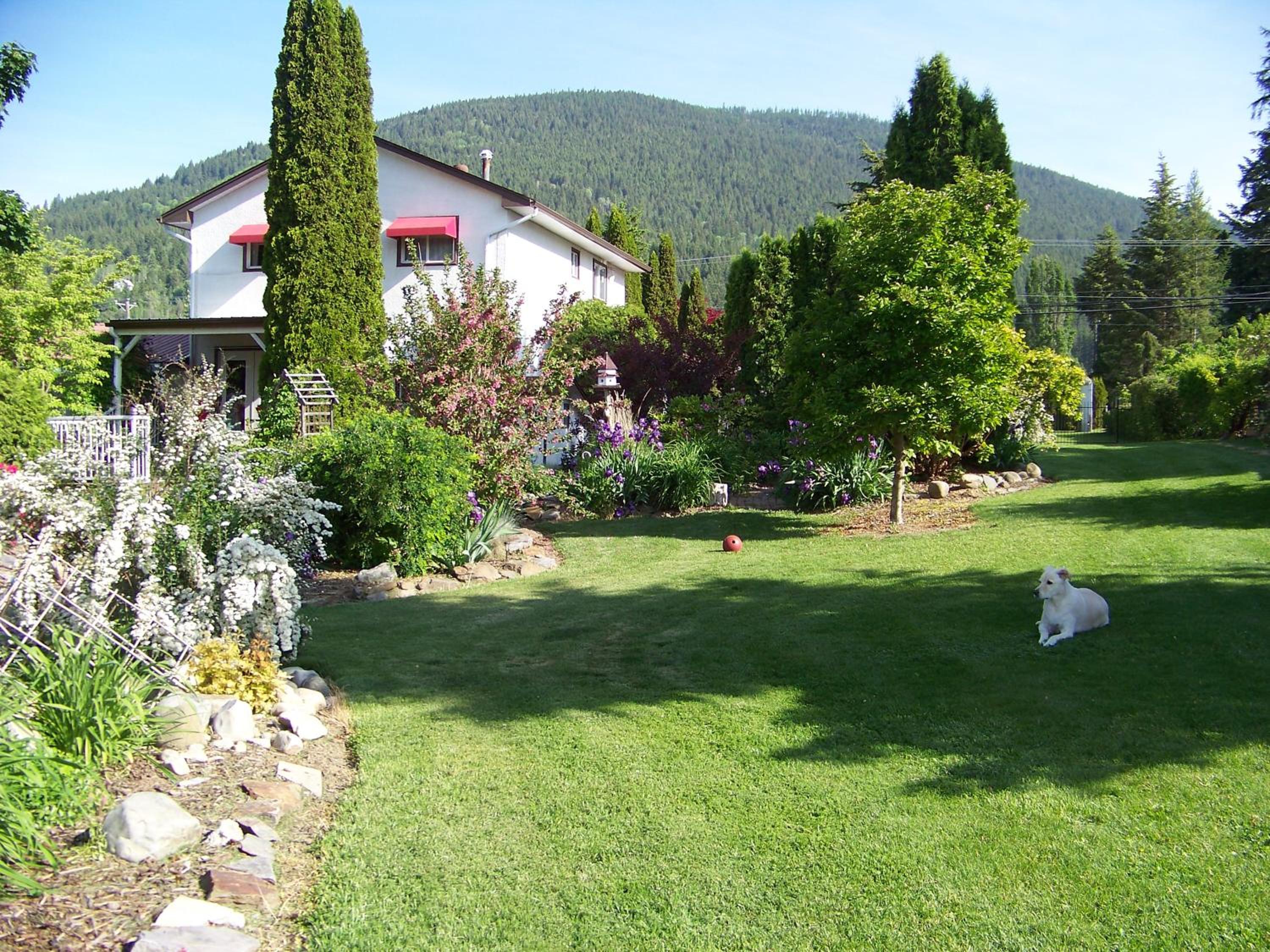 Photo 18