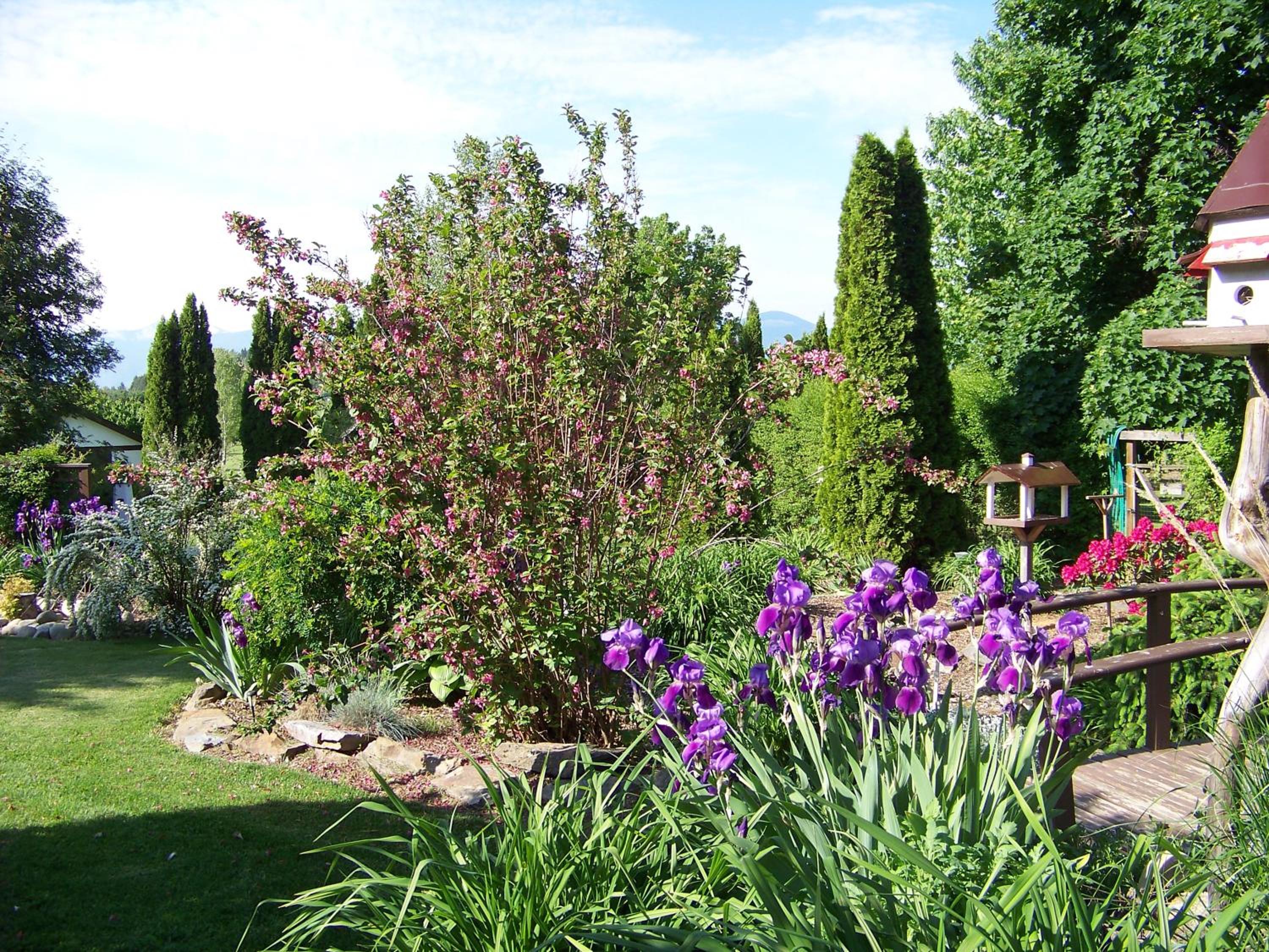 Photo 7
