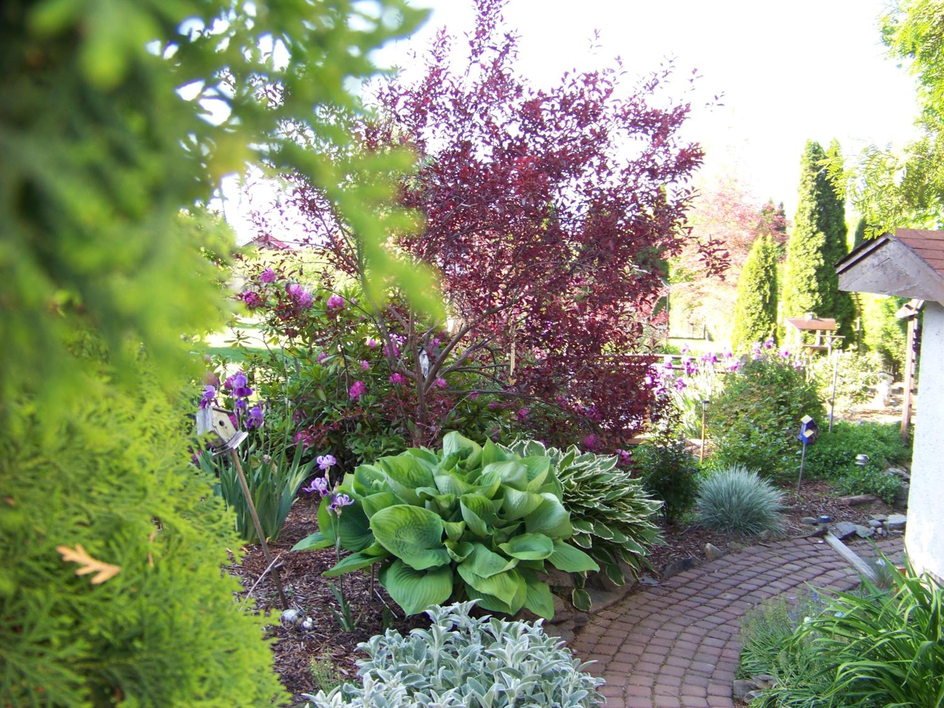 Photo 11