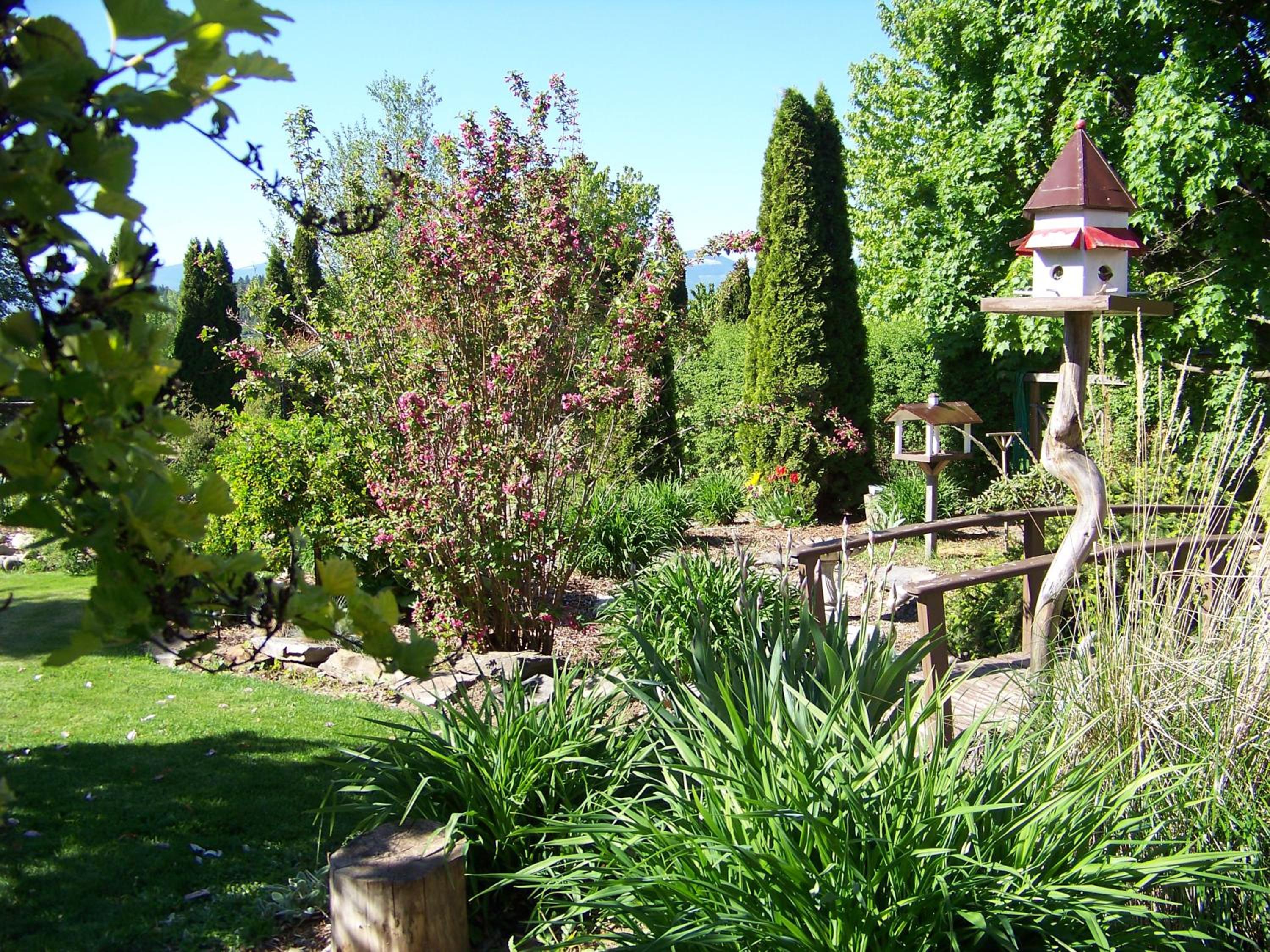 Photo 14