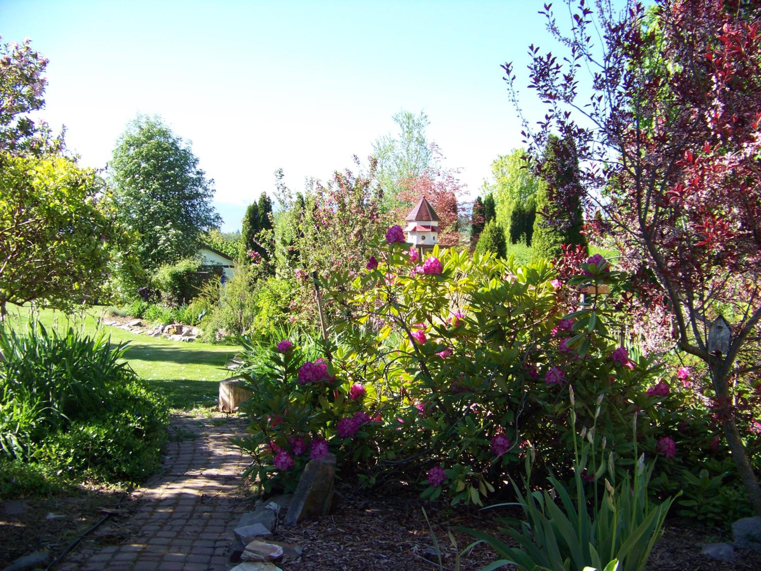 Photo 29