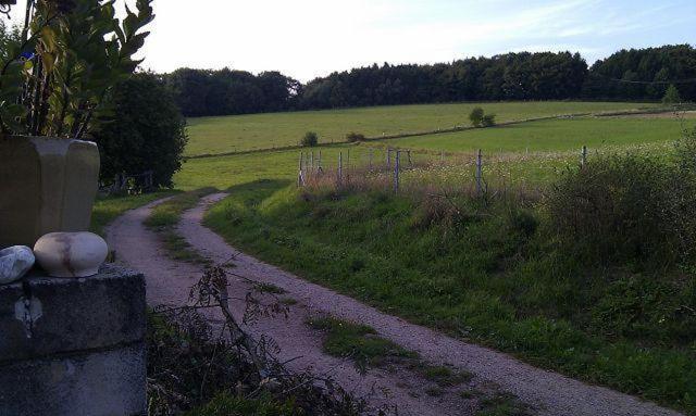 other