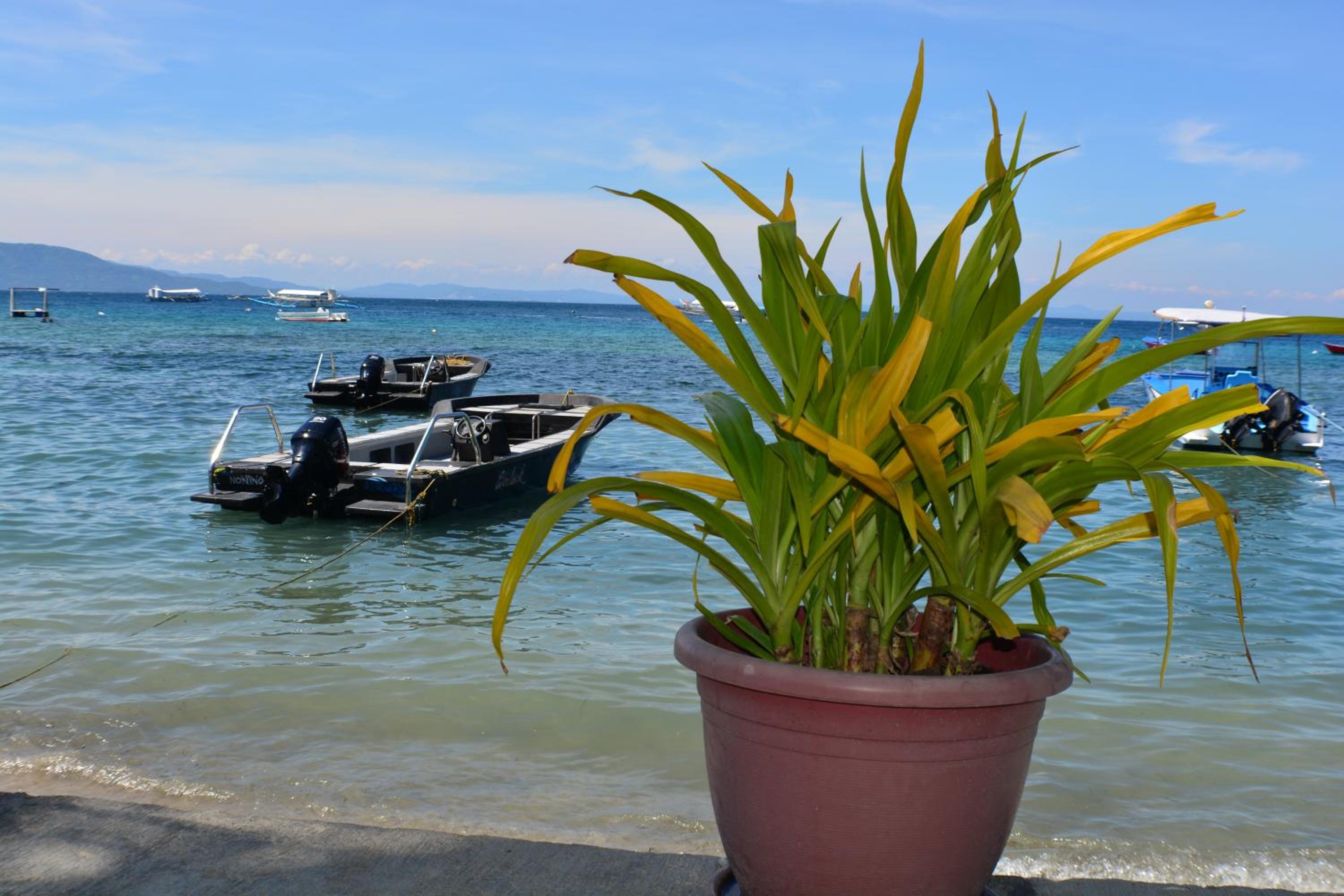 Captngreggs Dive Resort