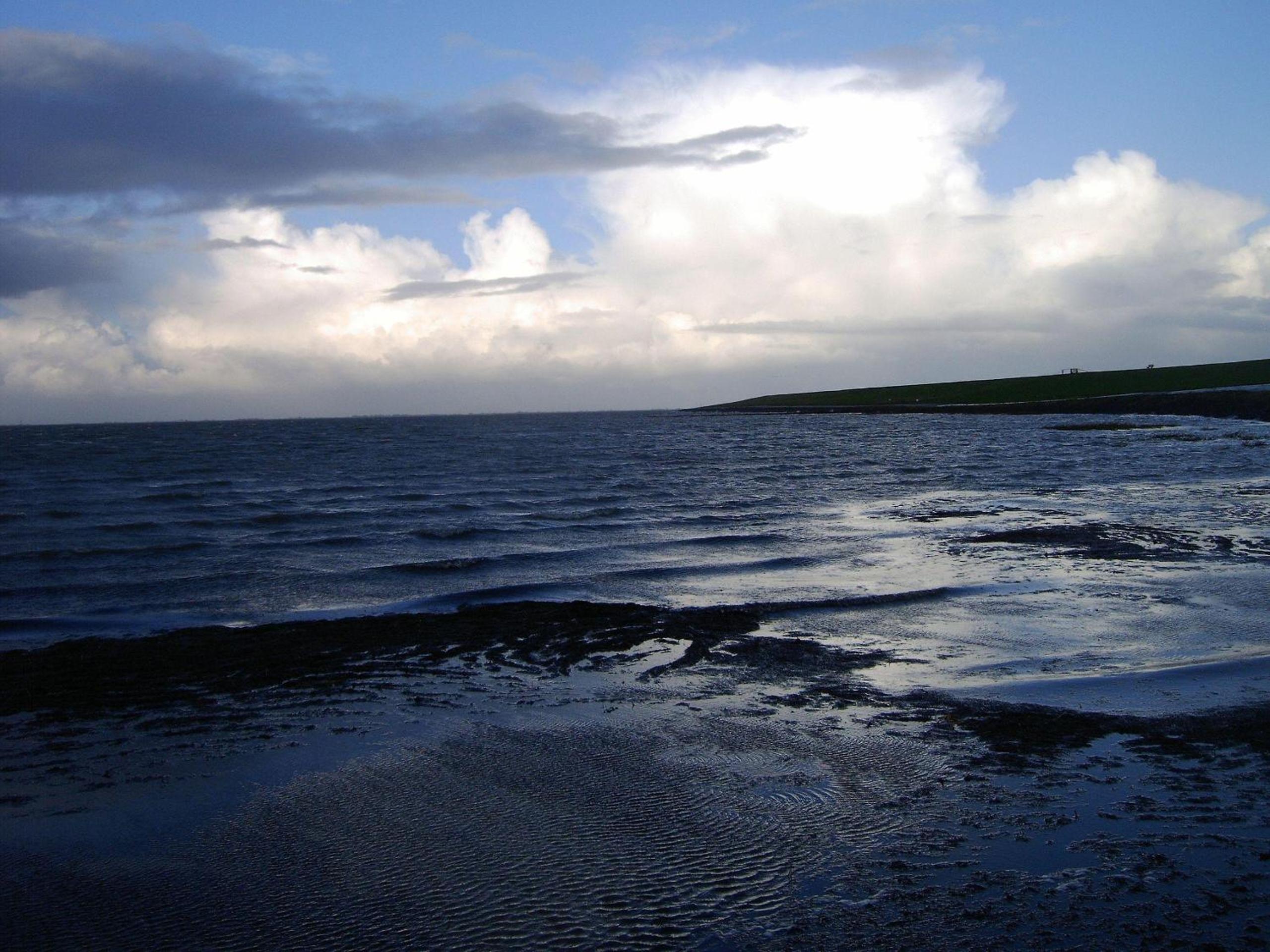 Photo 24