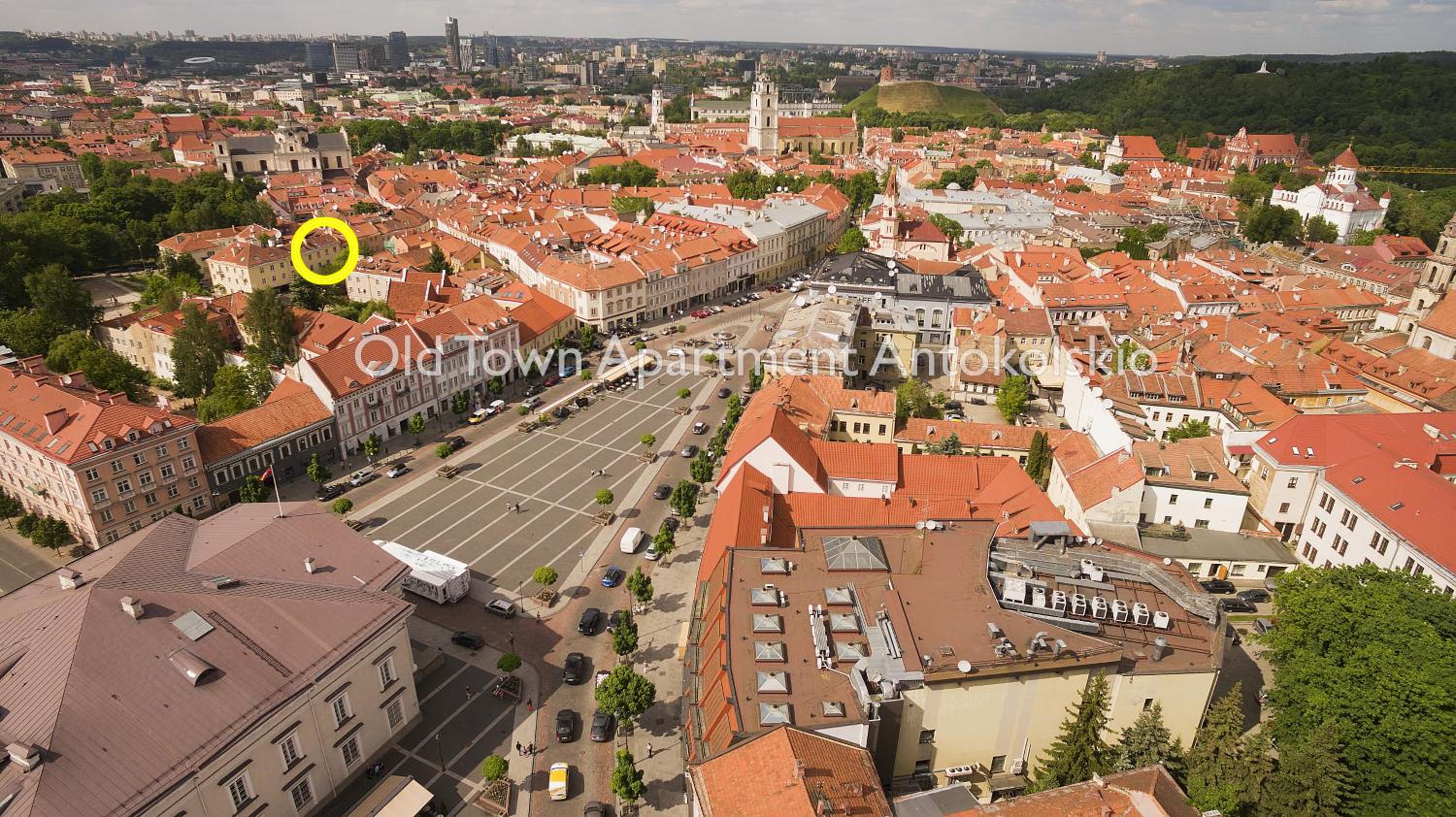 Old Town Apartment Antokolskio