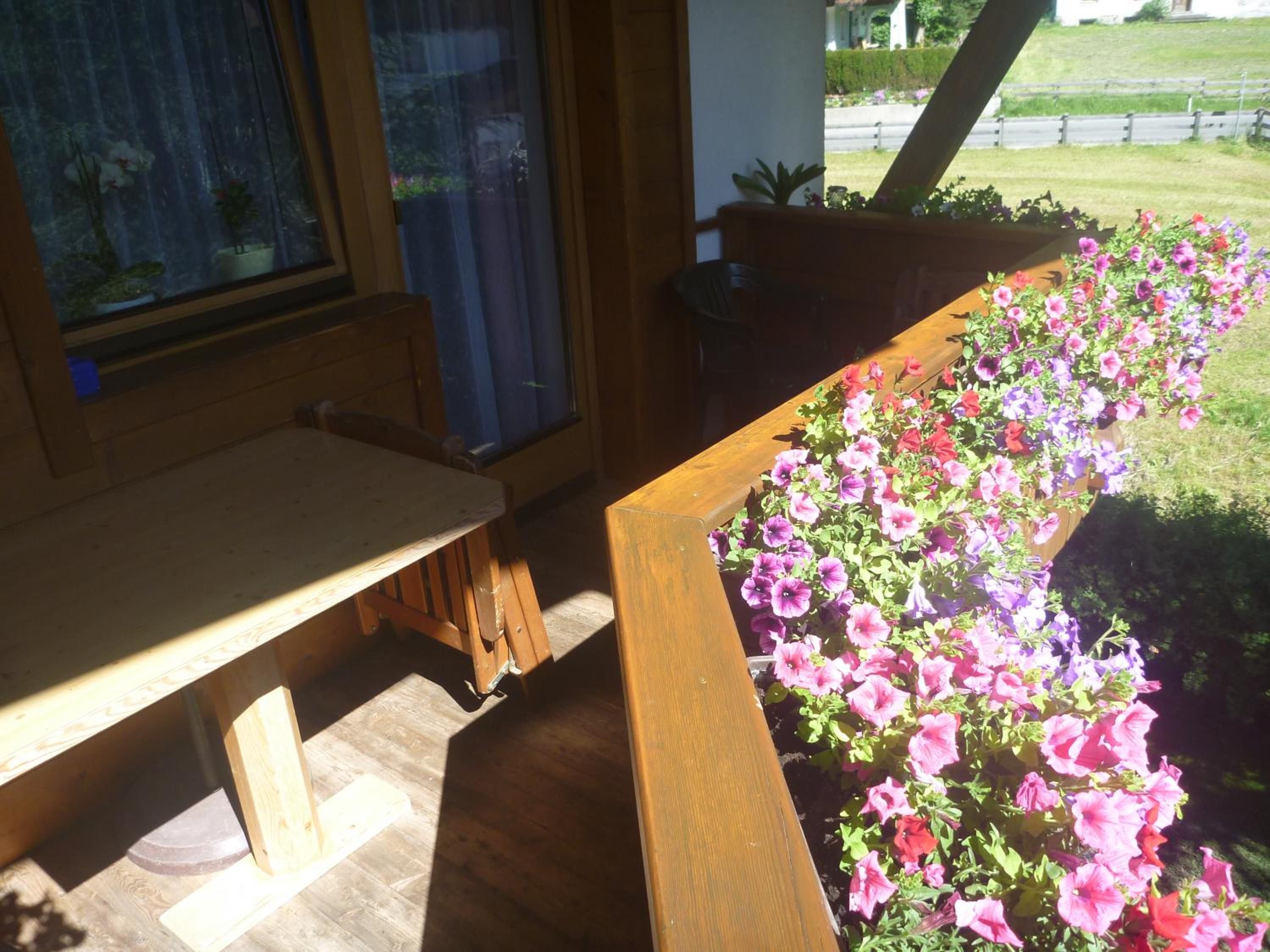 Haus Bellis