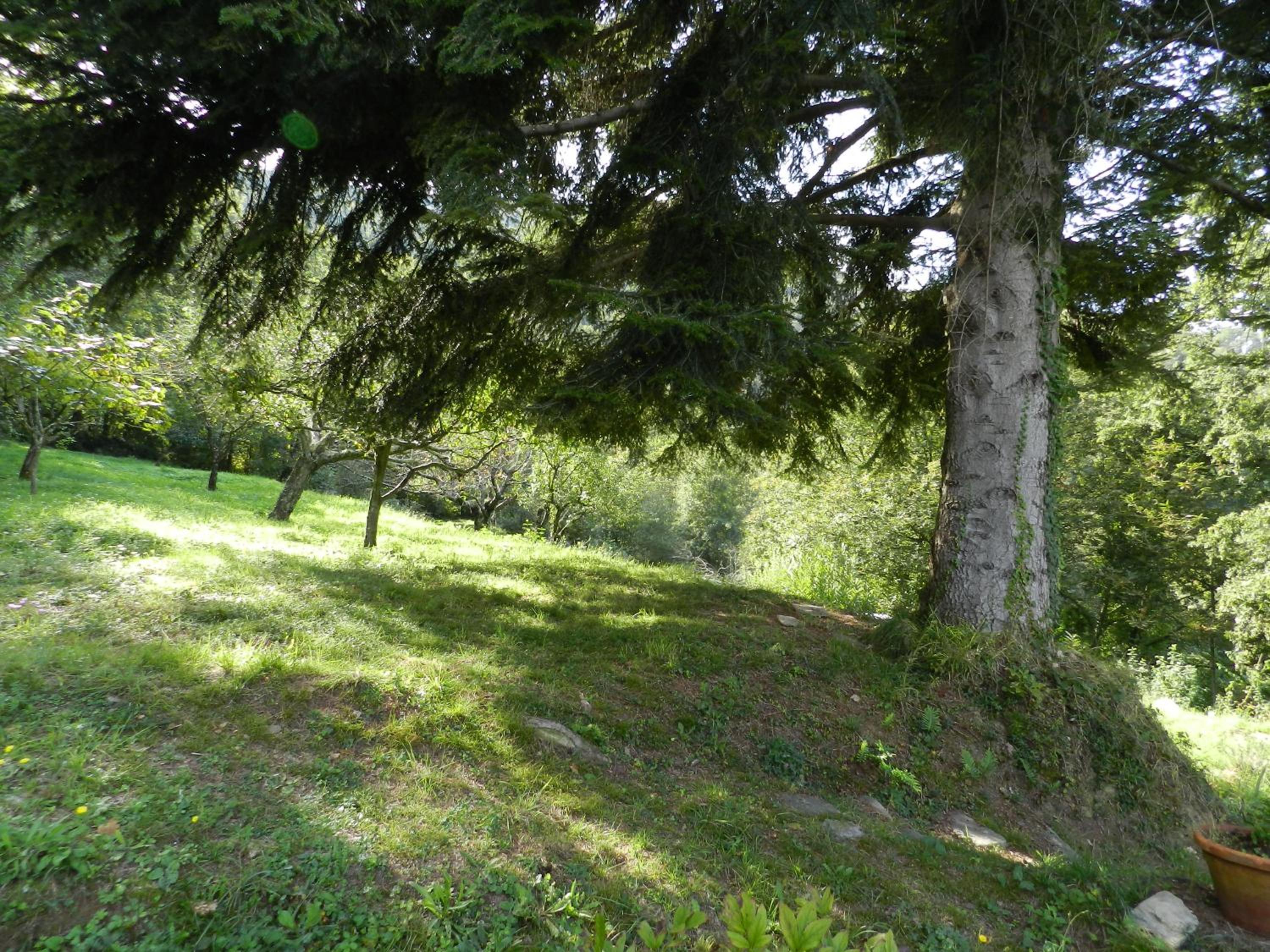 Photo 40