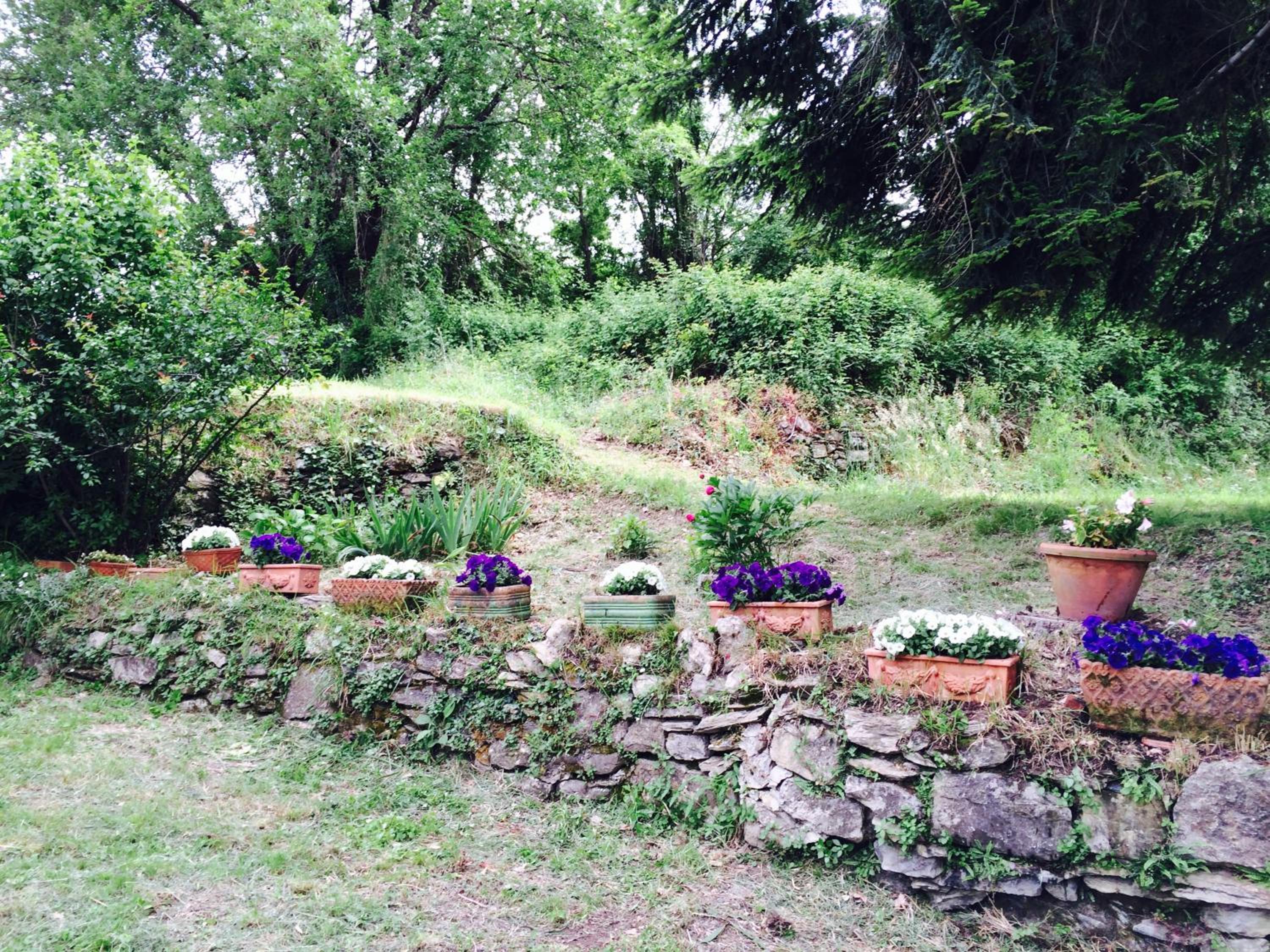Photo 46