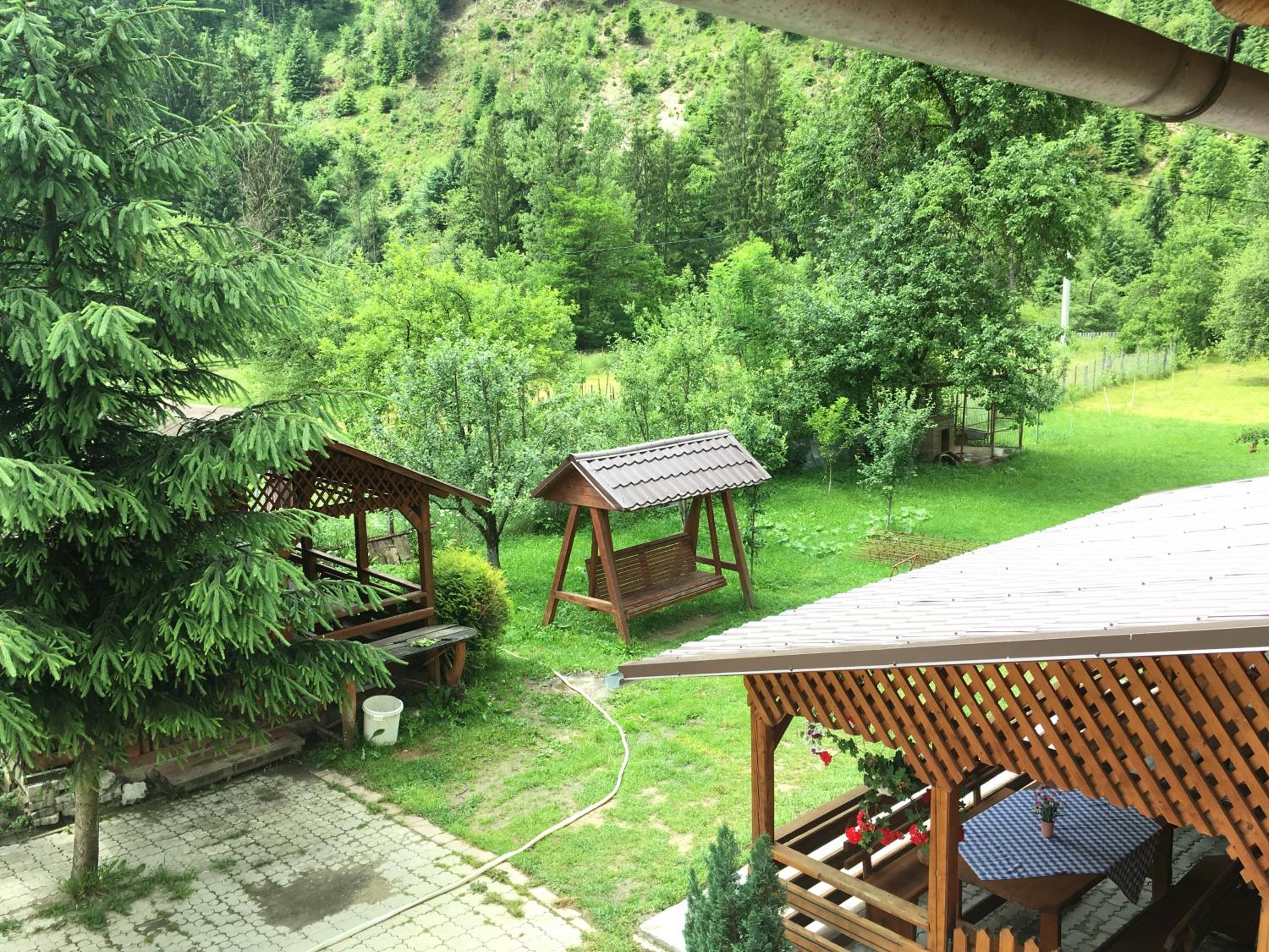 Photo 38