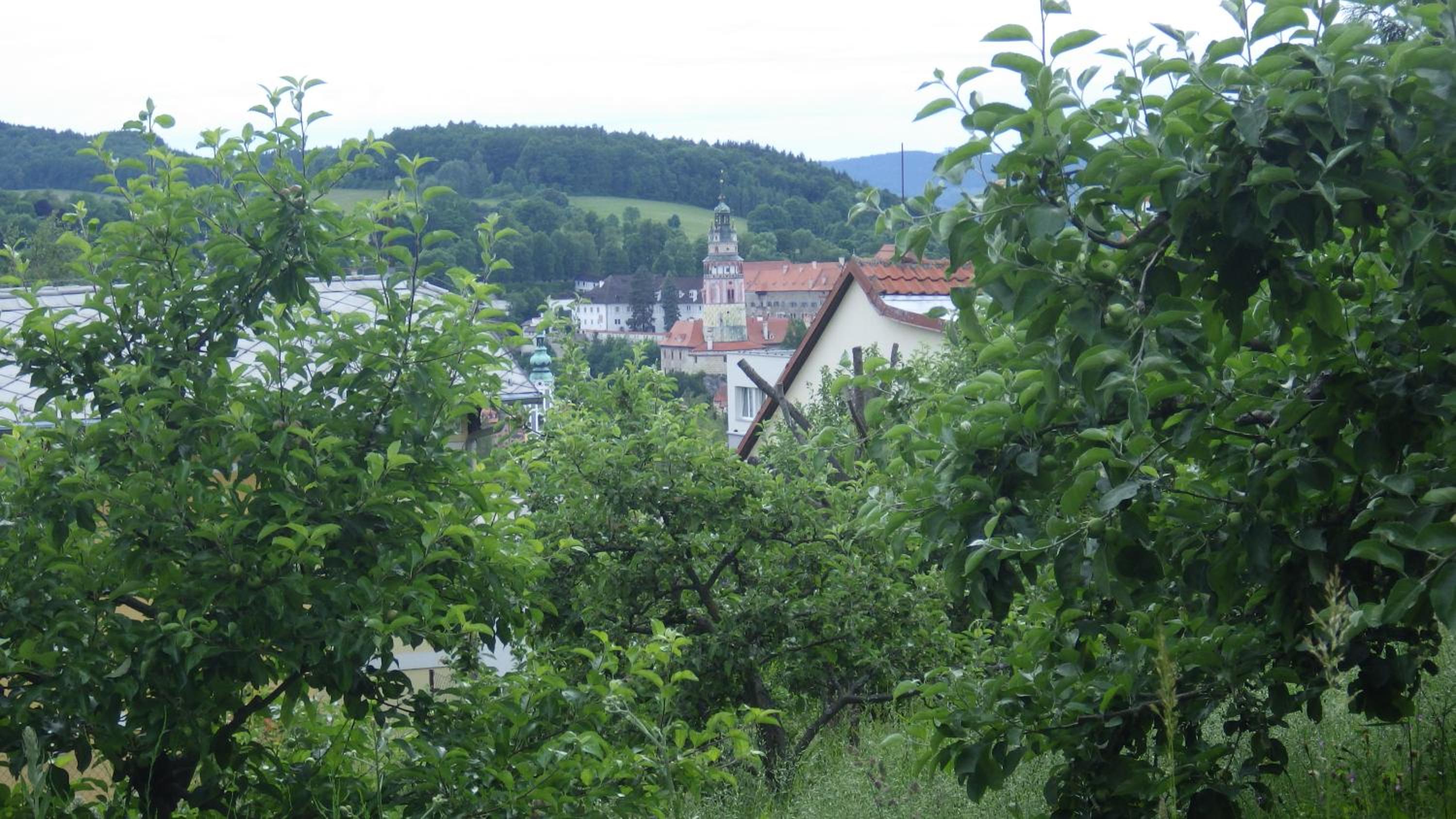 Ubytování u Dolanských