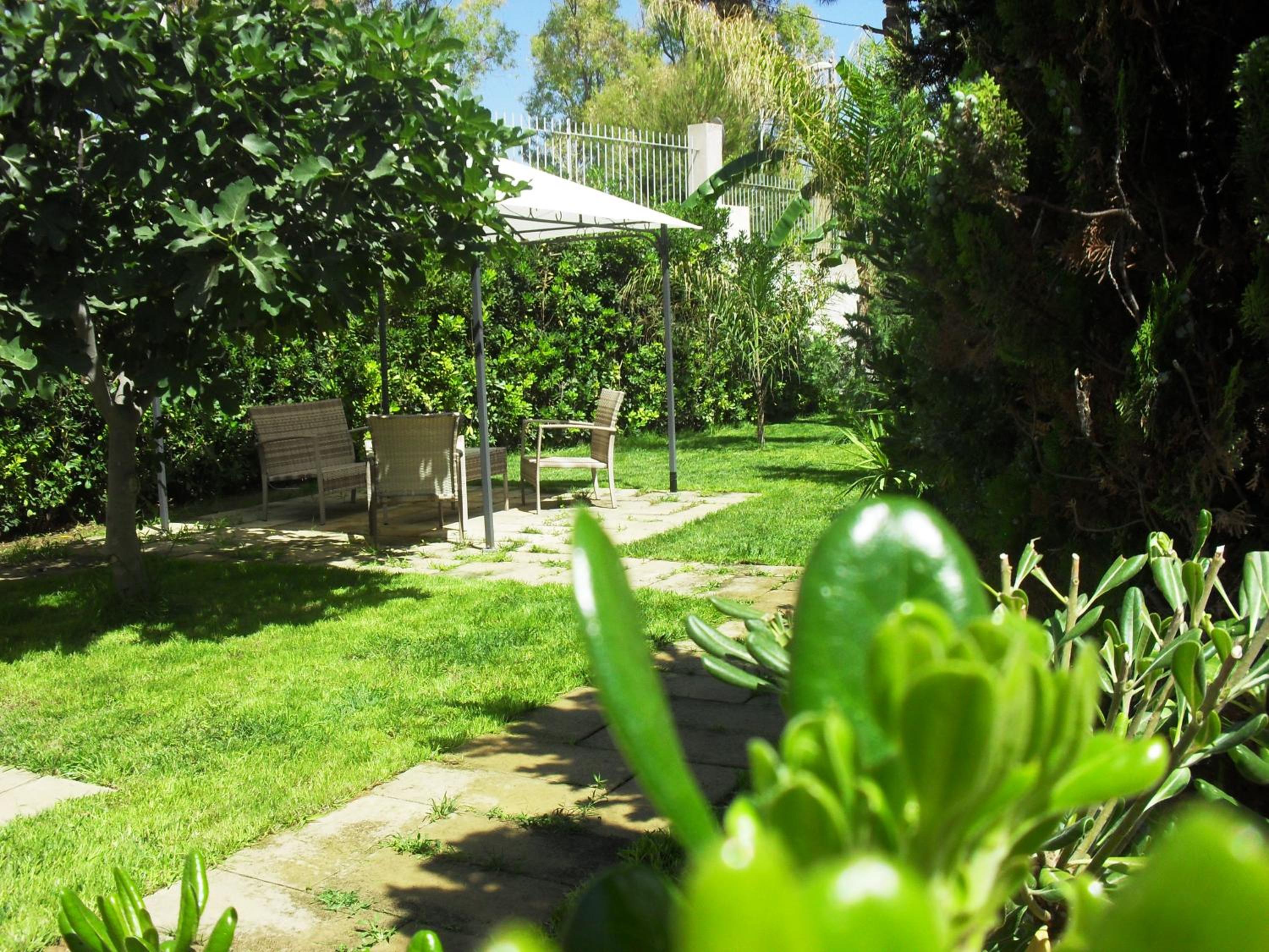Photo 39