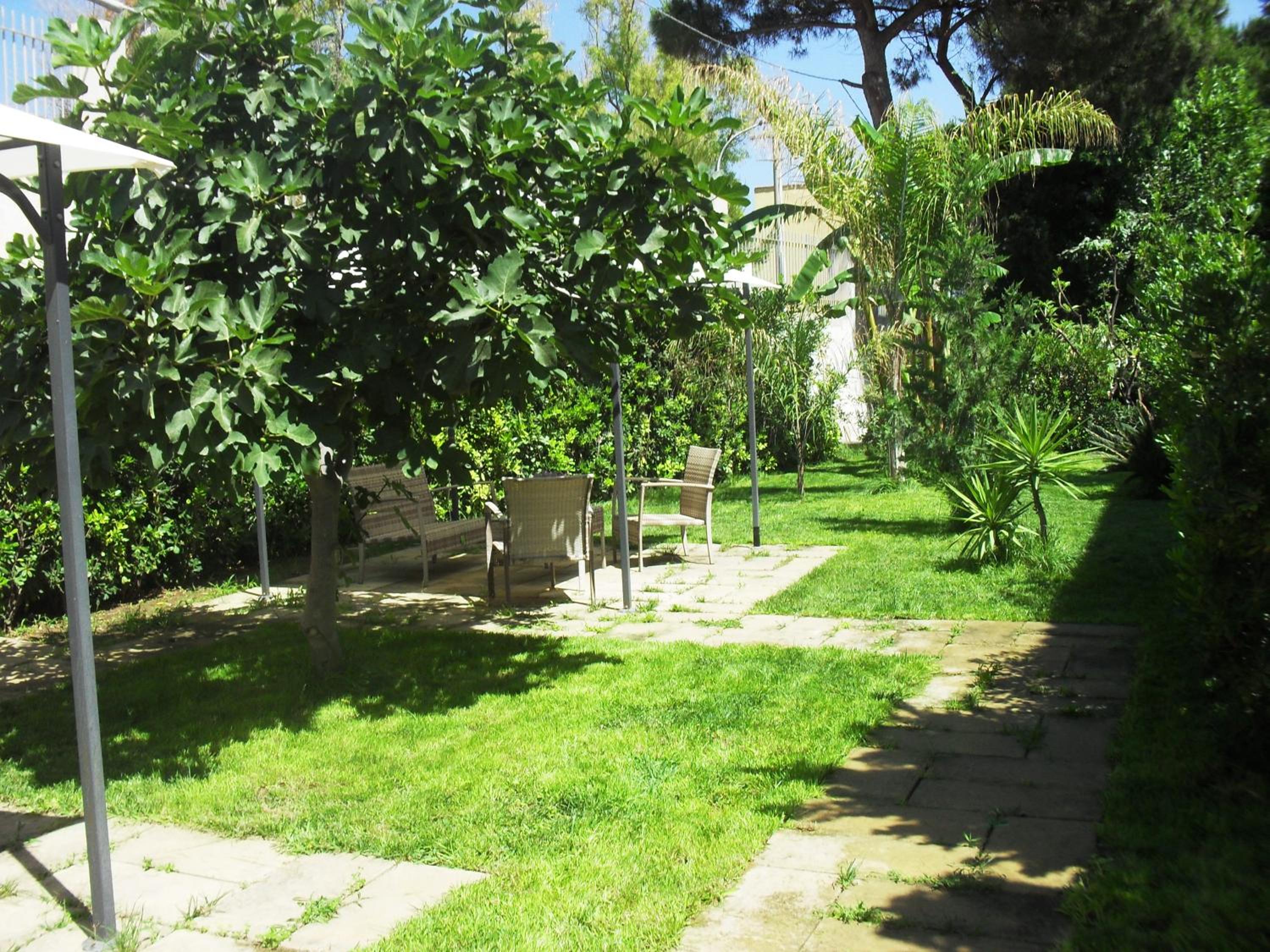 Photo 35