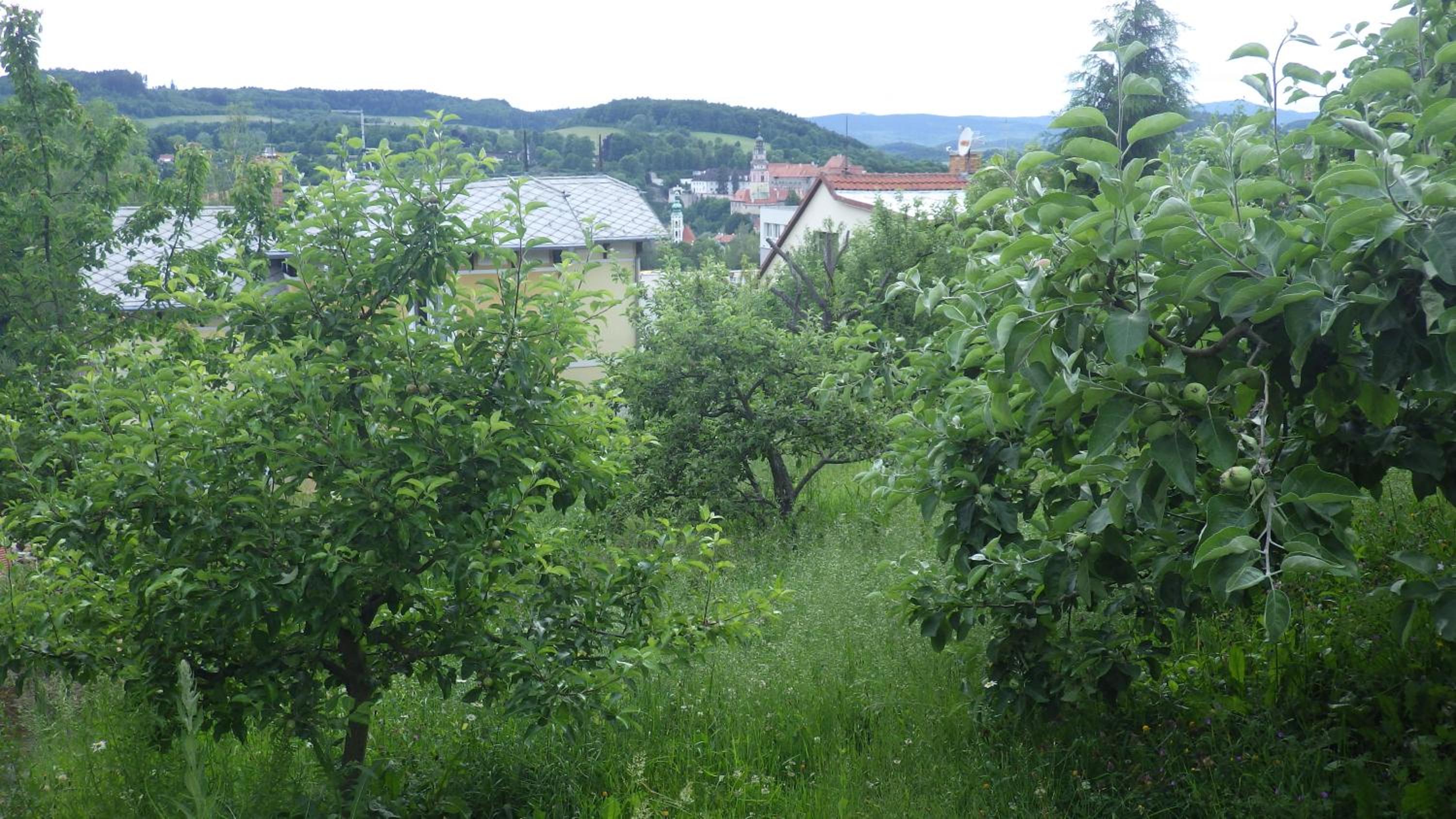 Ubytování u Dolanských