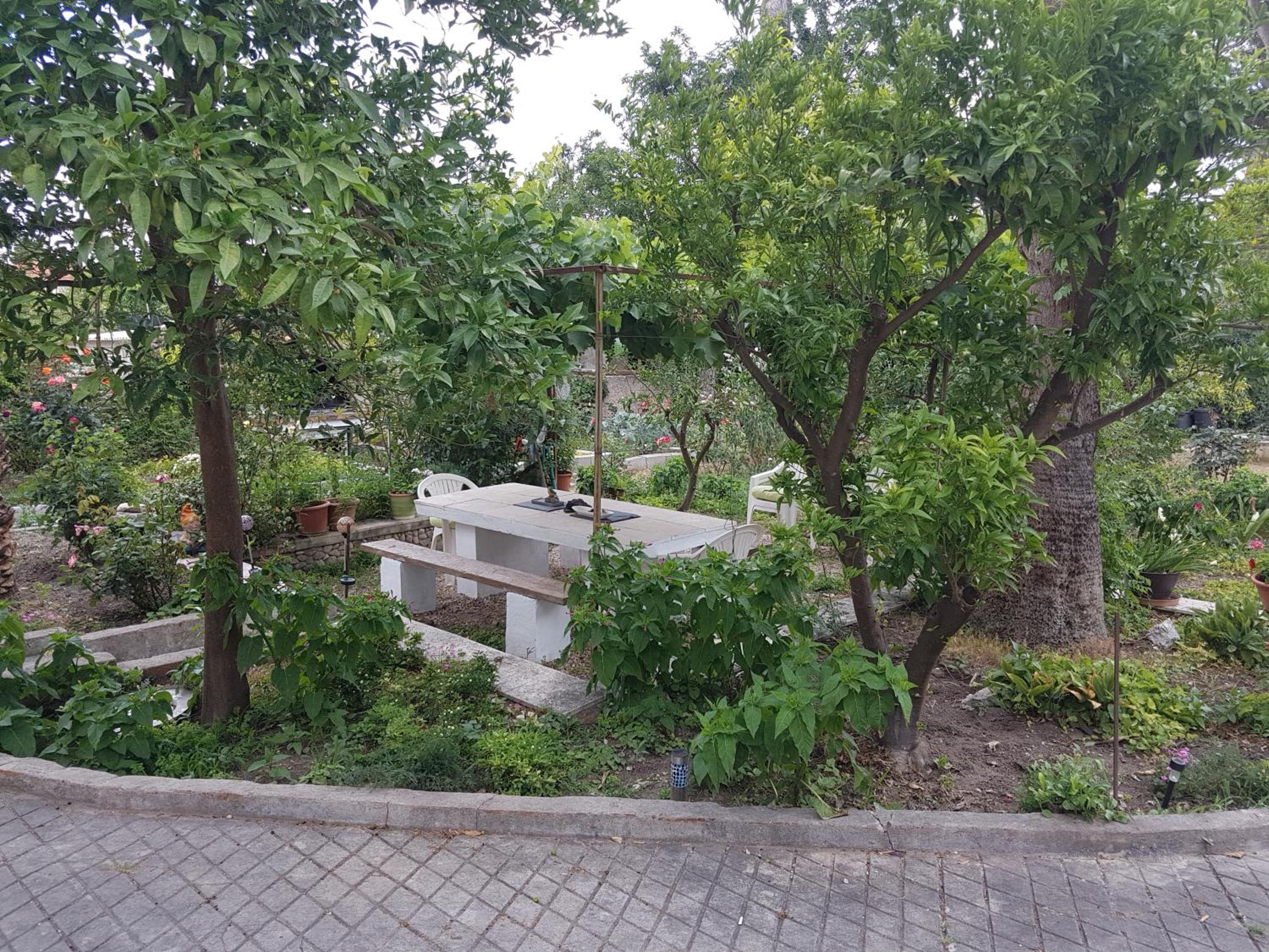 Photo 20