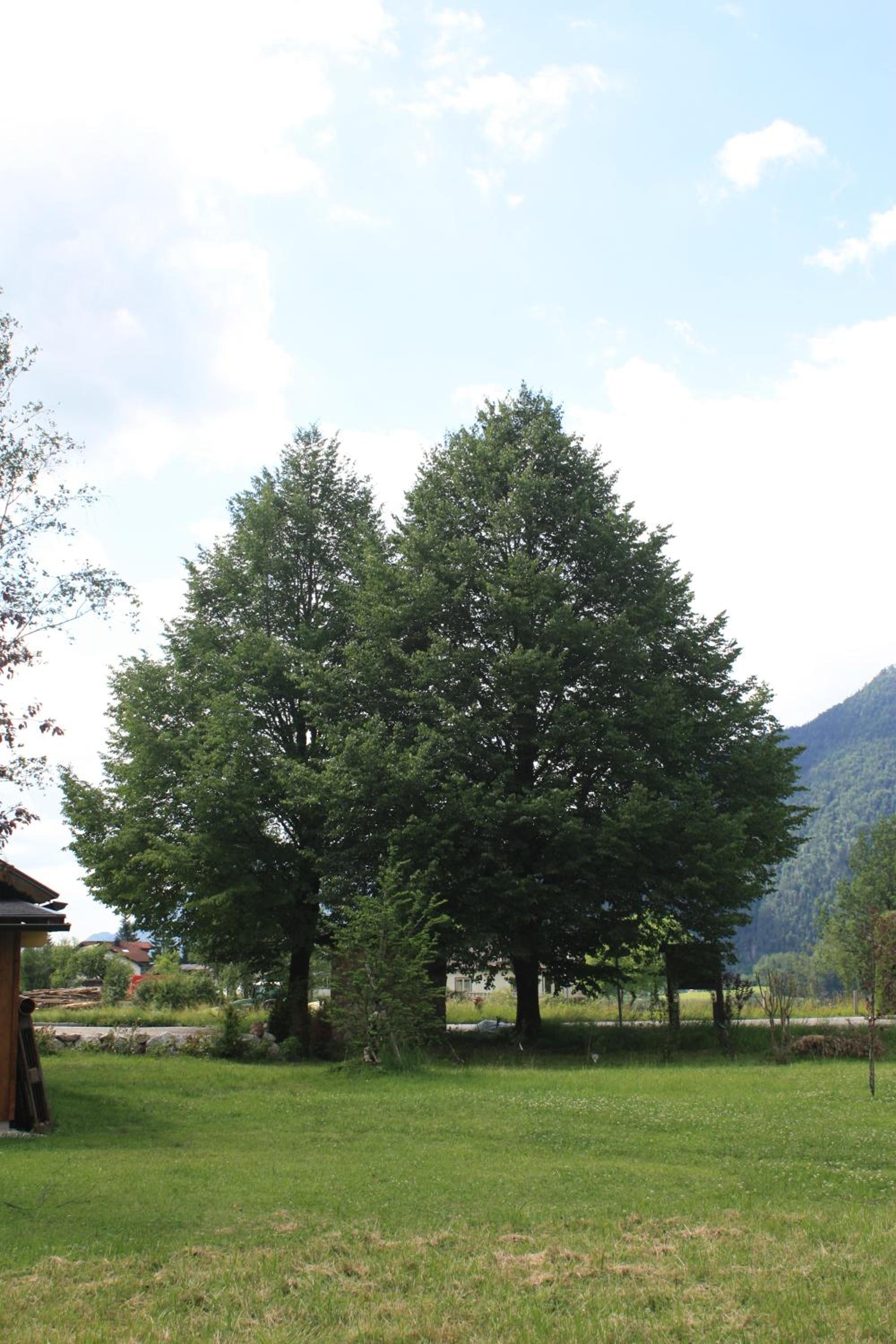 Landlust Ischl