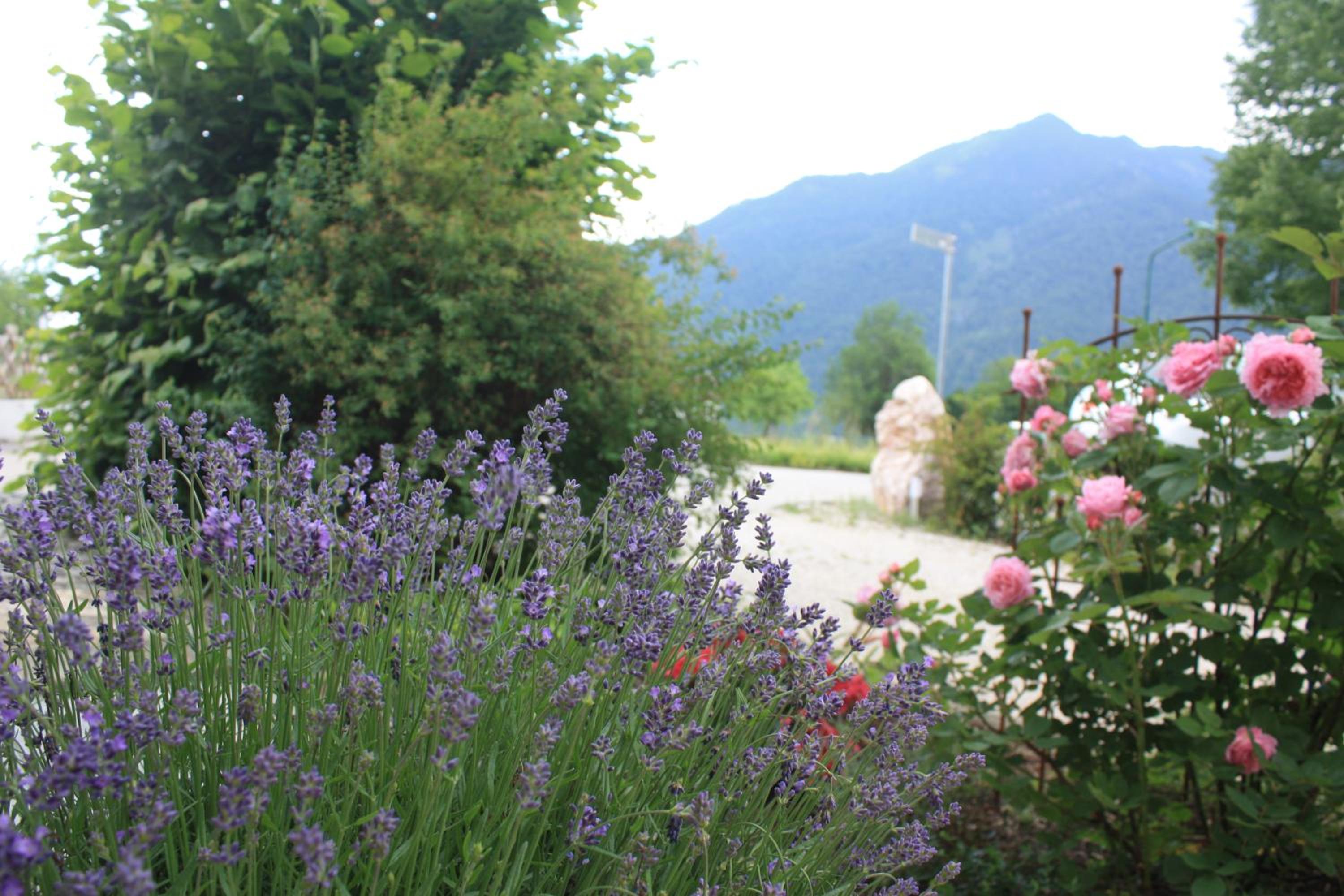 Landlust Ischl