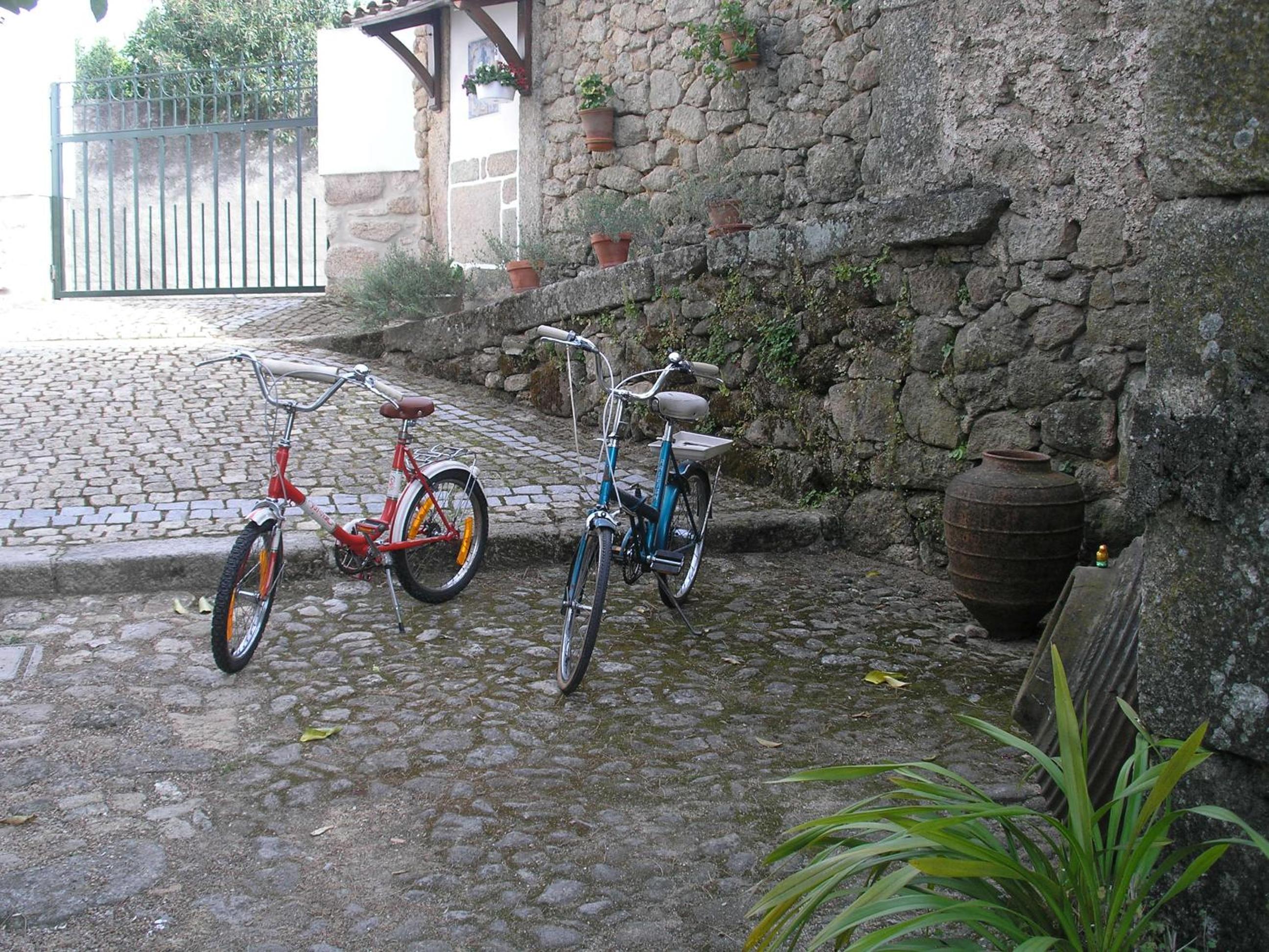 Photo 48