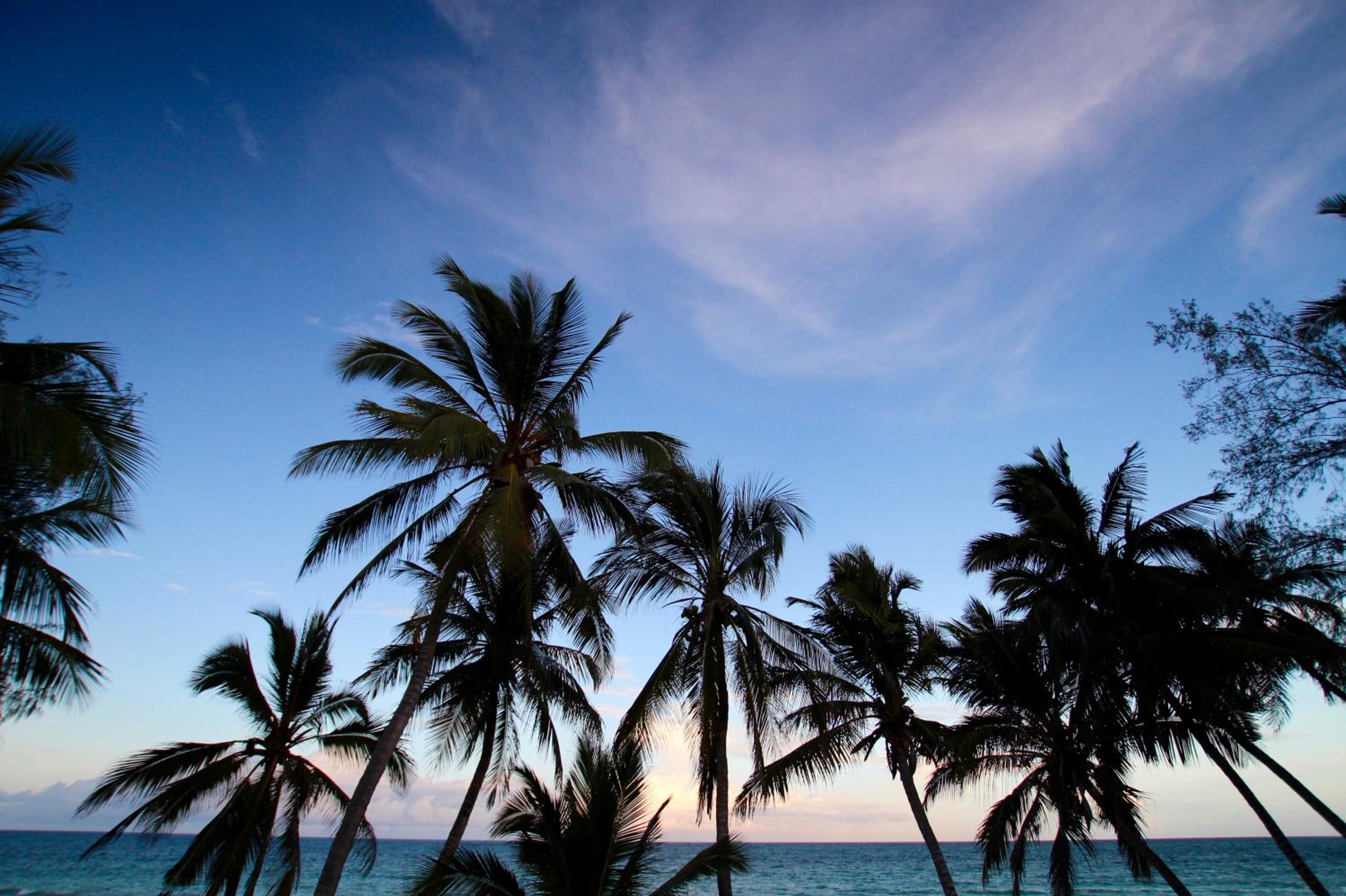 The Zubeida Boutique Resort