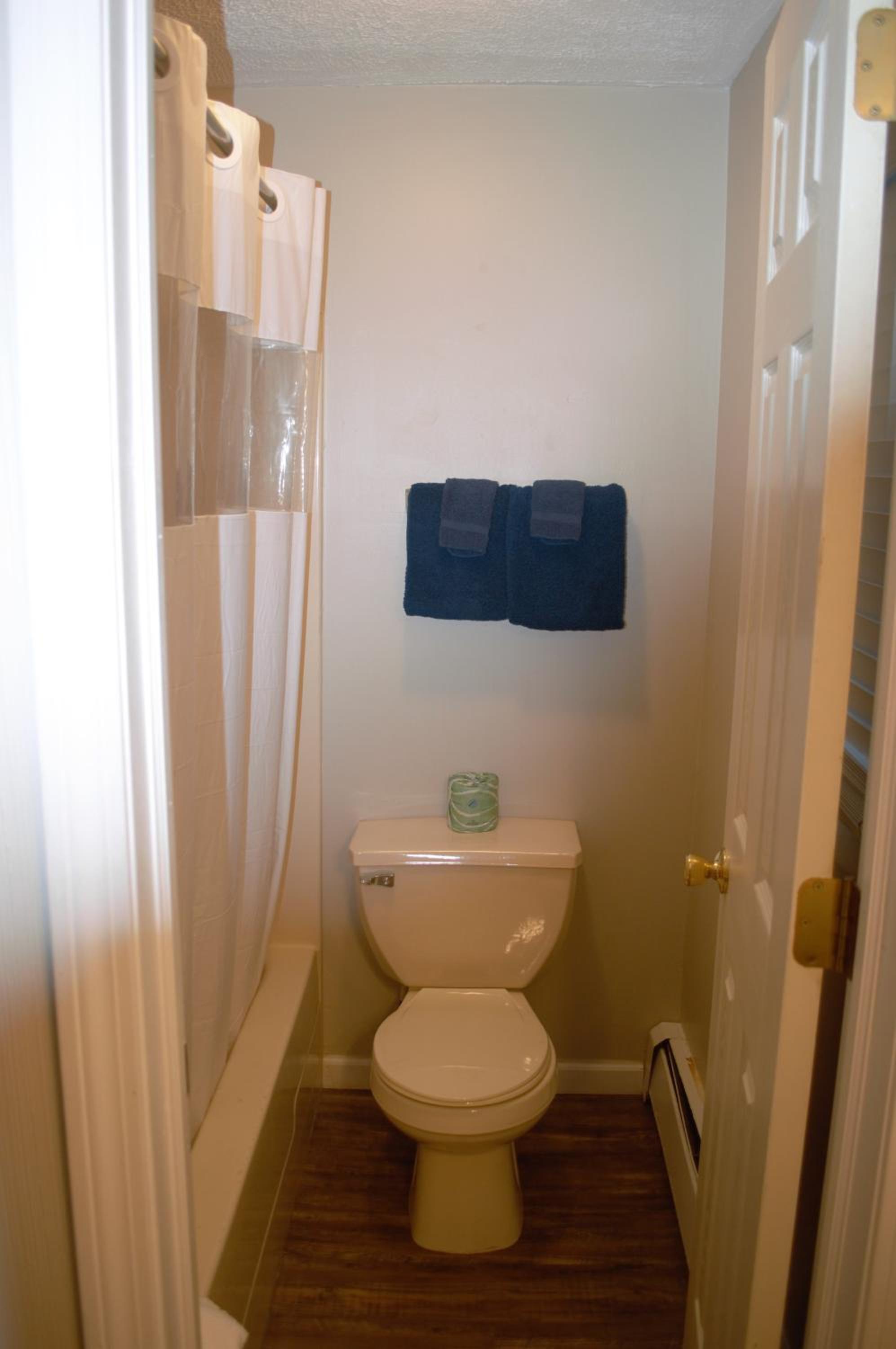 Carrier Motor Lodge - Property Image 8