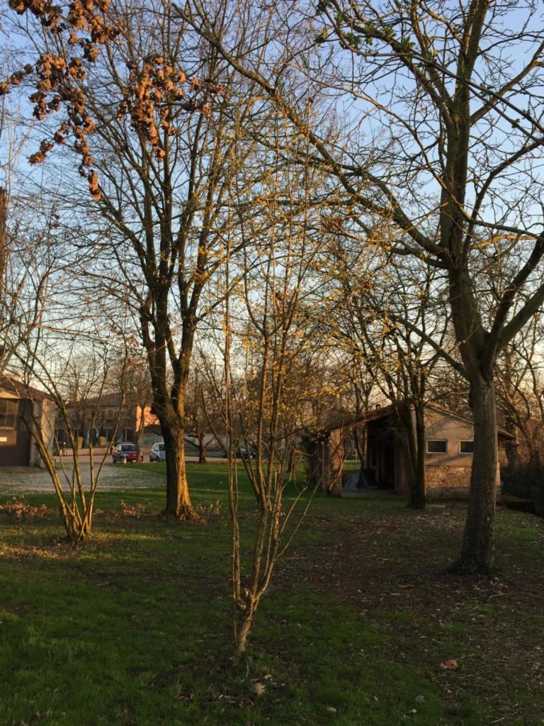Photo 41