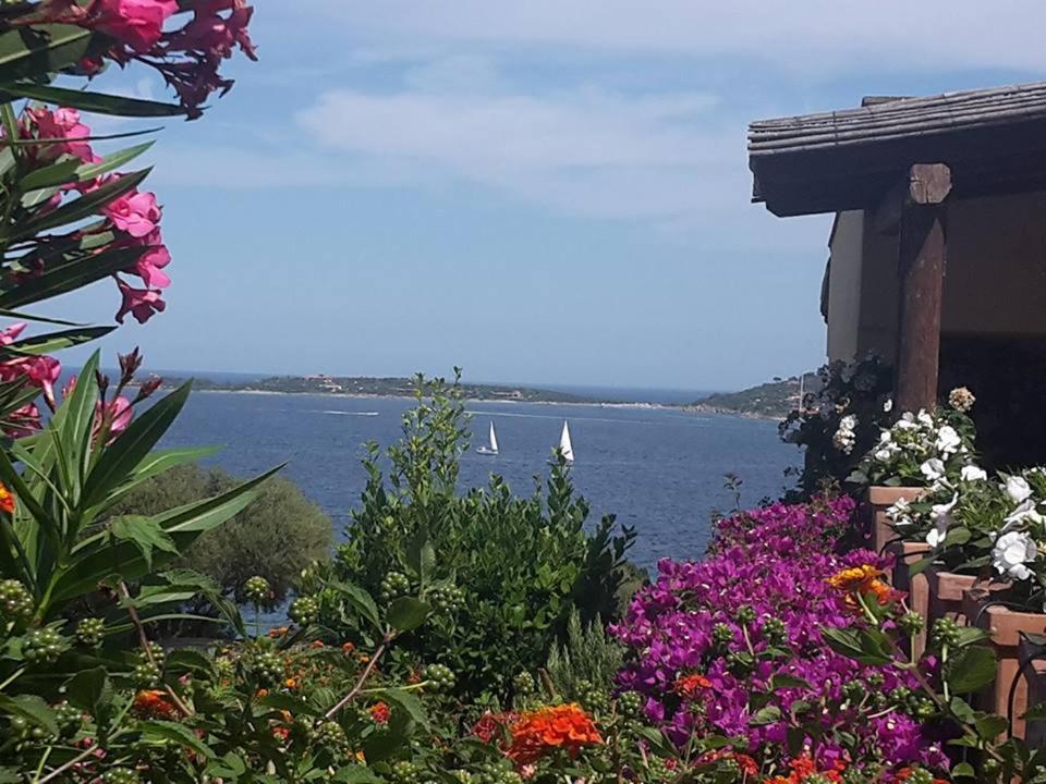 Appartamento I Ginepri view 5
