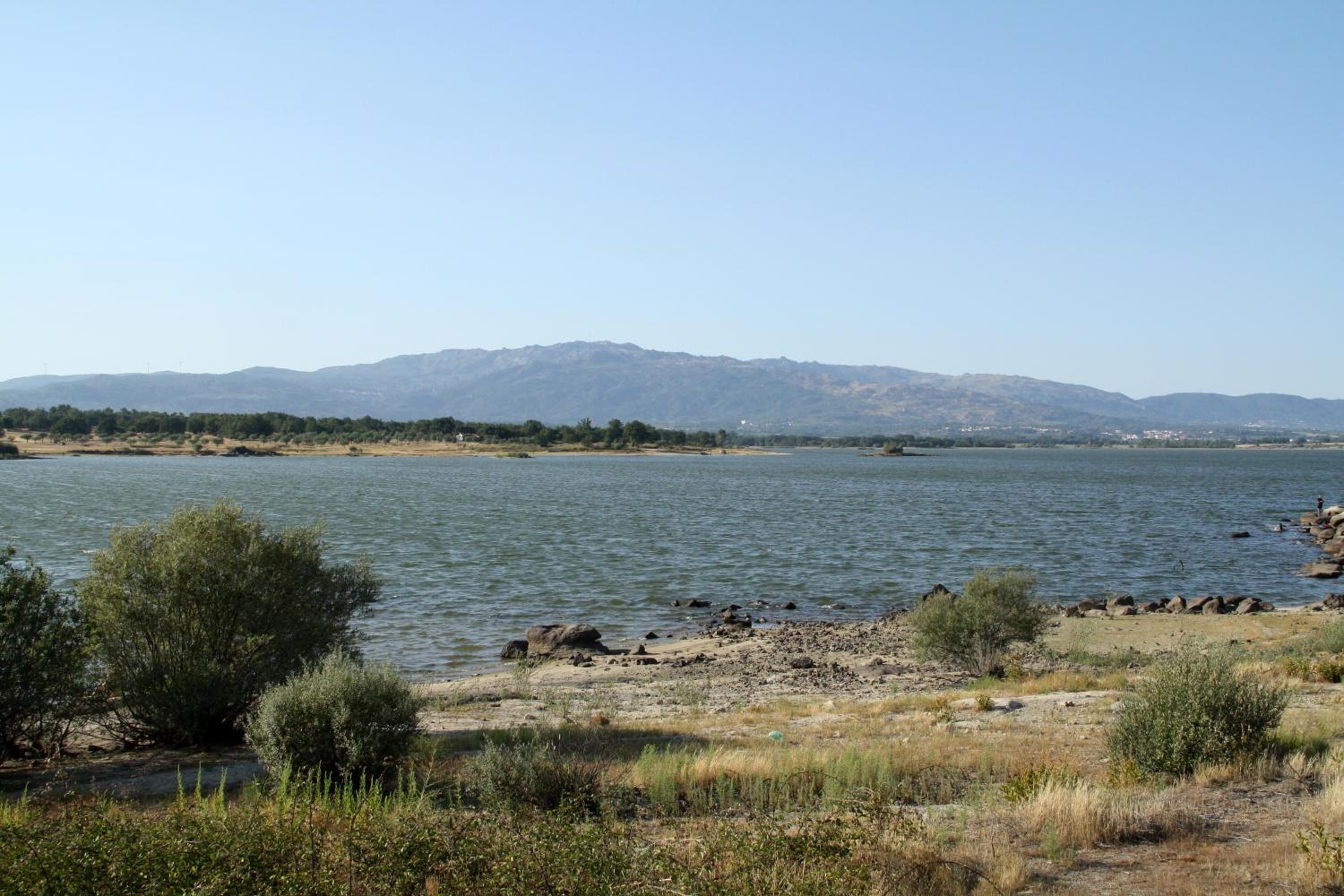 Photo 44
