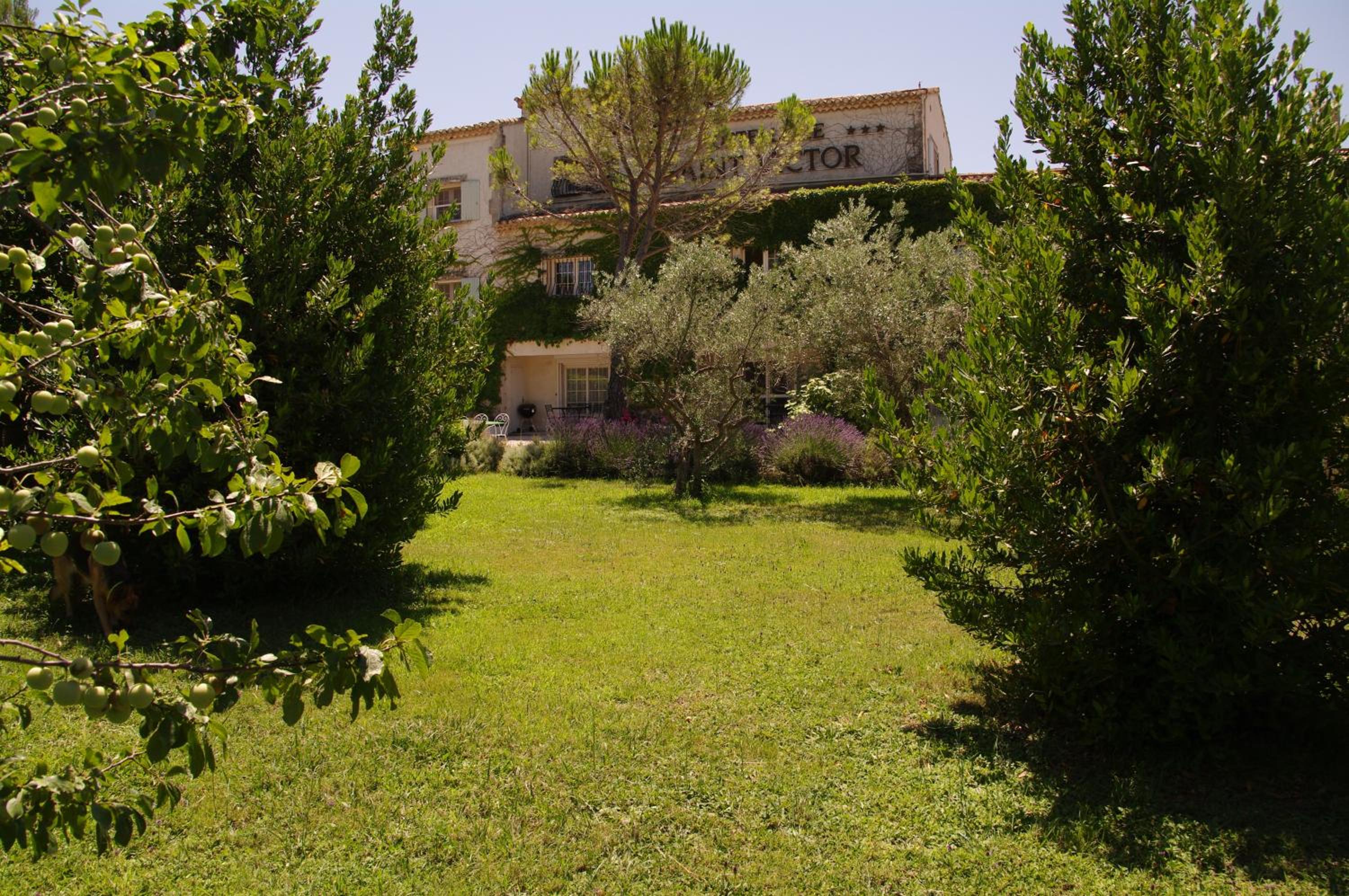 Photo 8