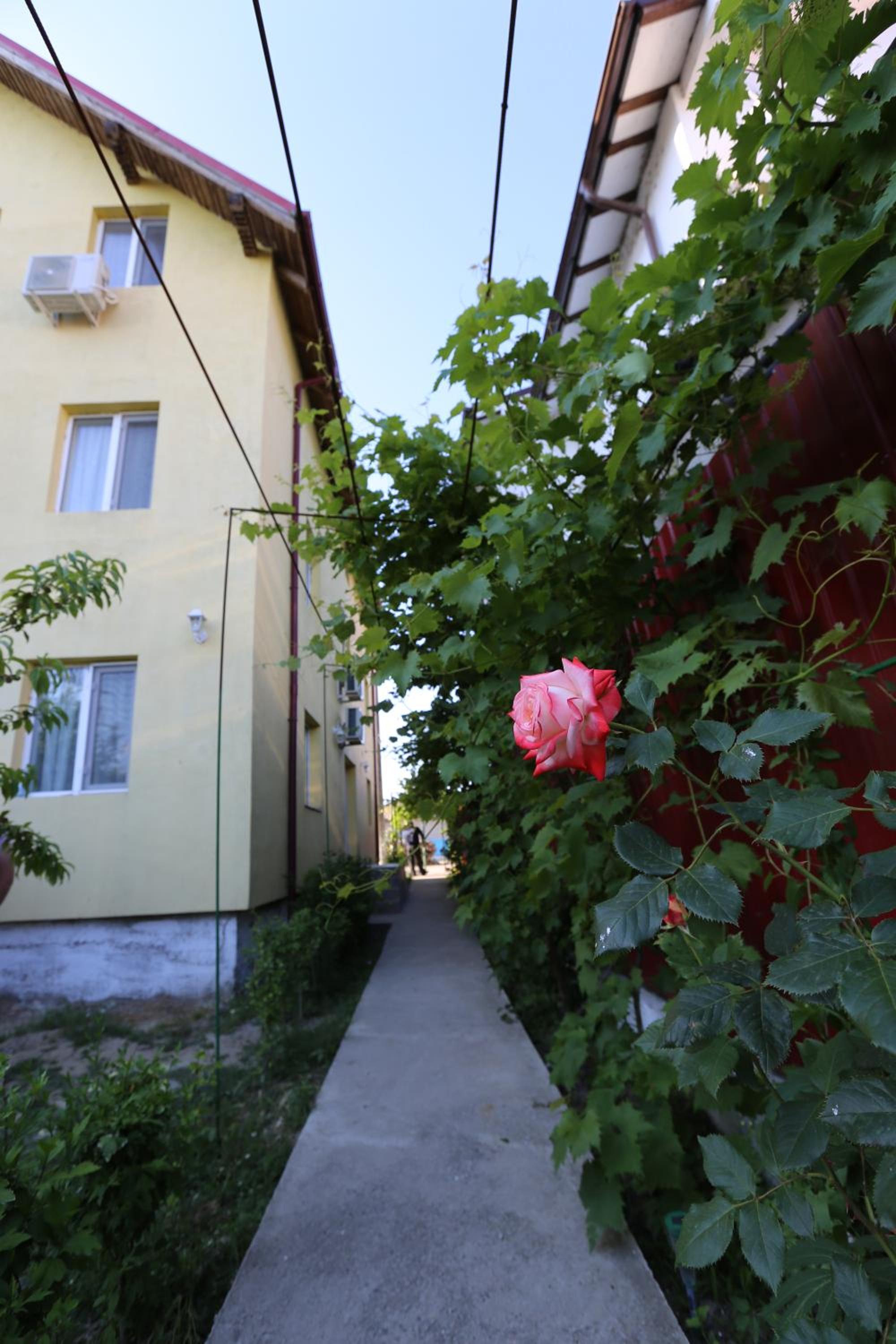 Photo 6