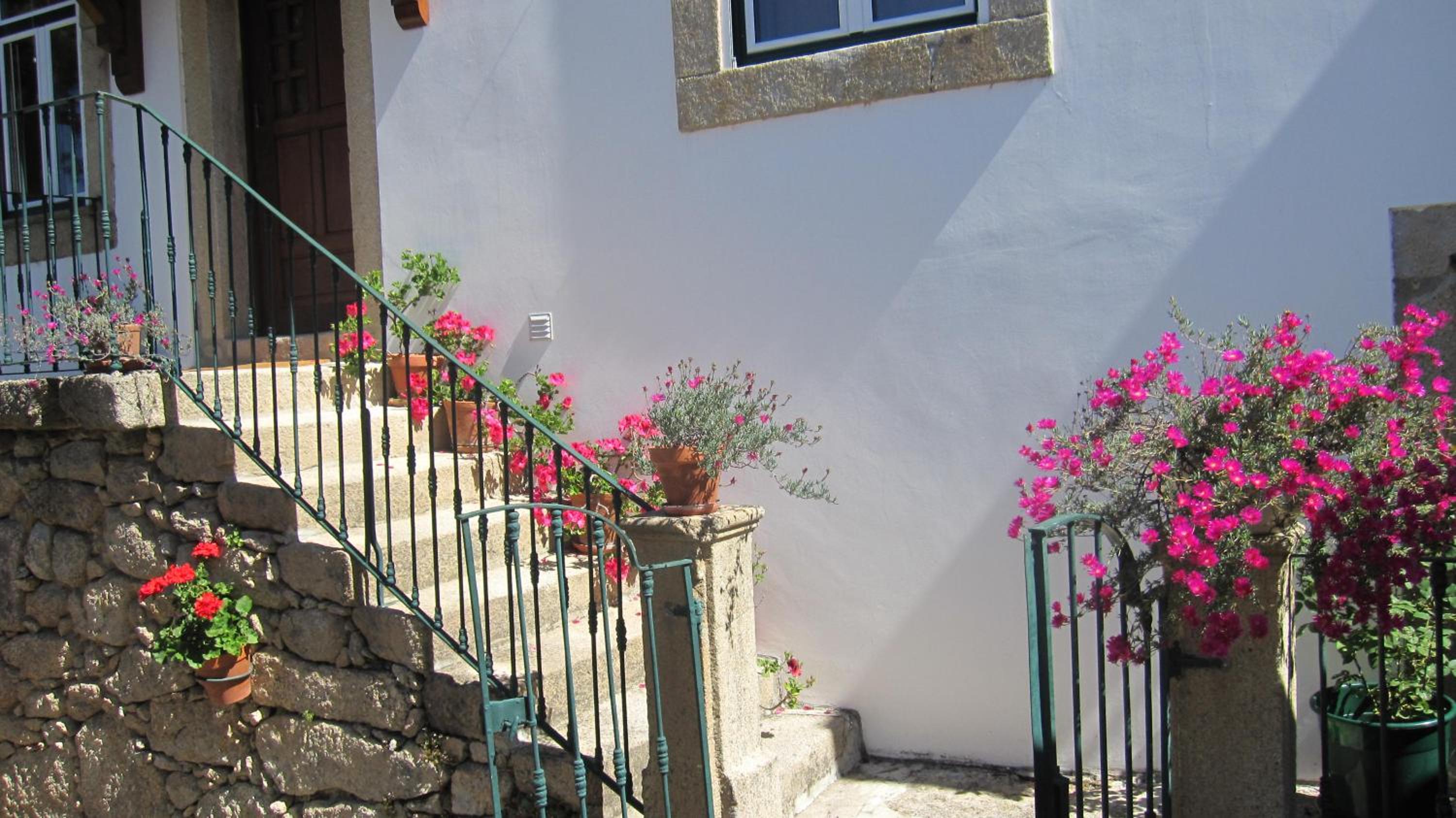 Photo 42
