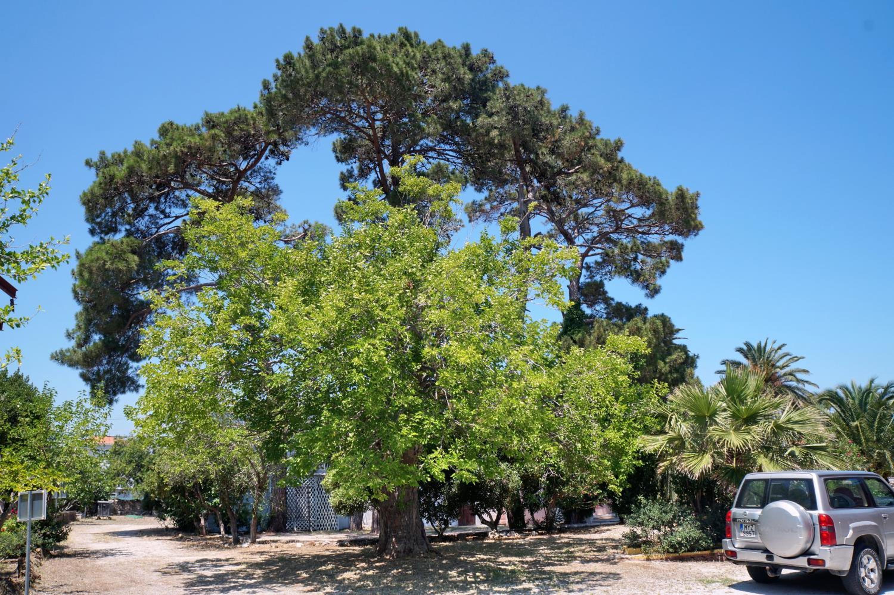Photo 14