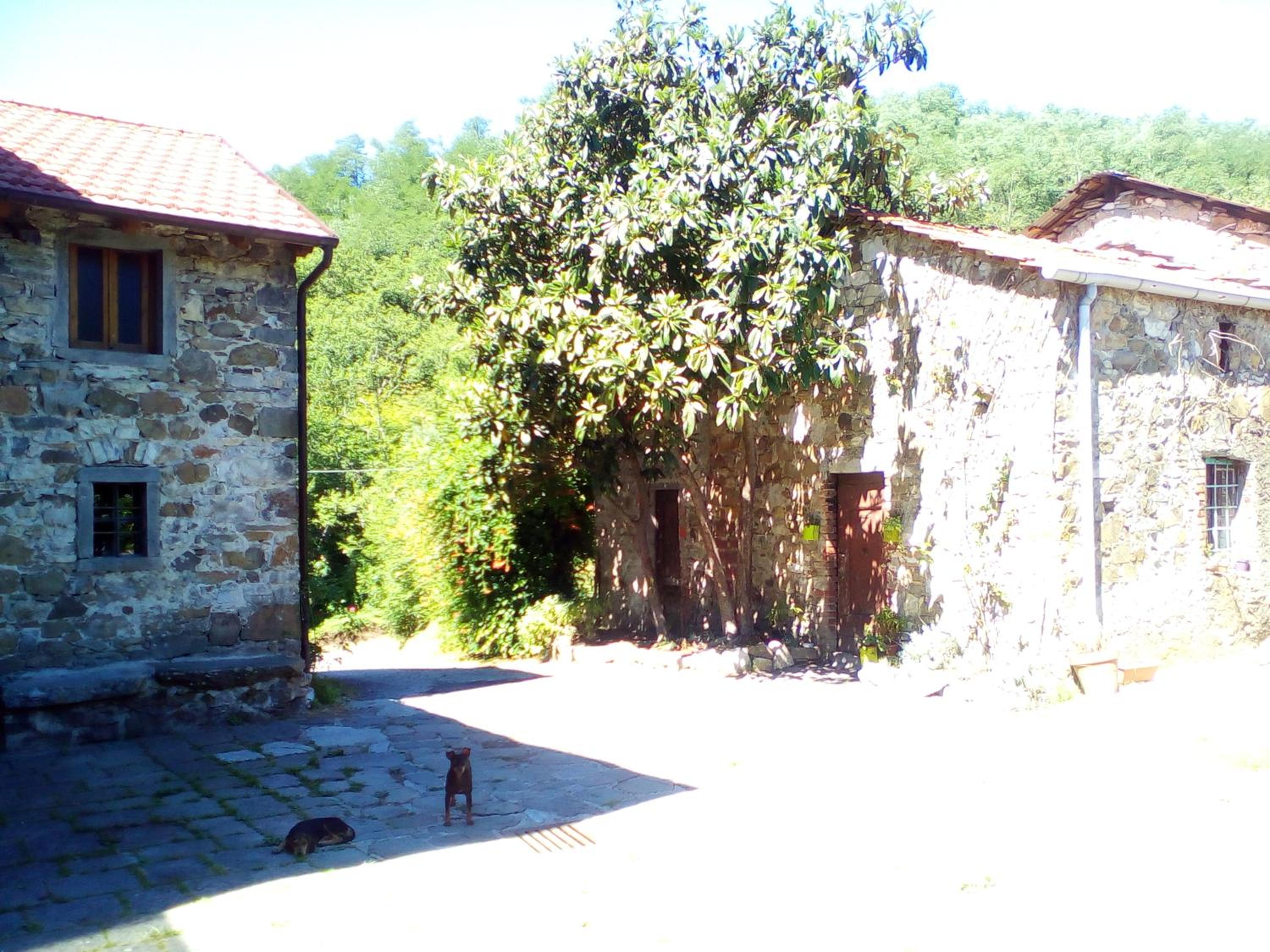 Photo 7